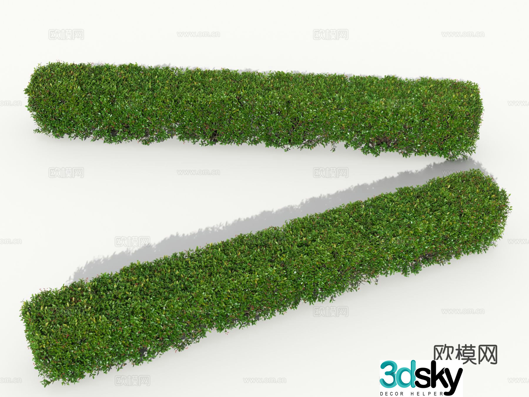 Hedge Square Shrub 3D Model