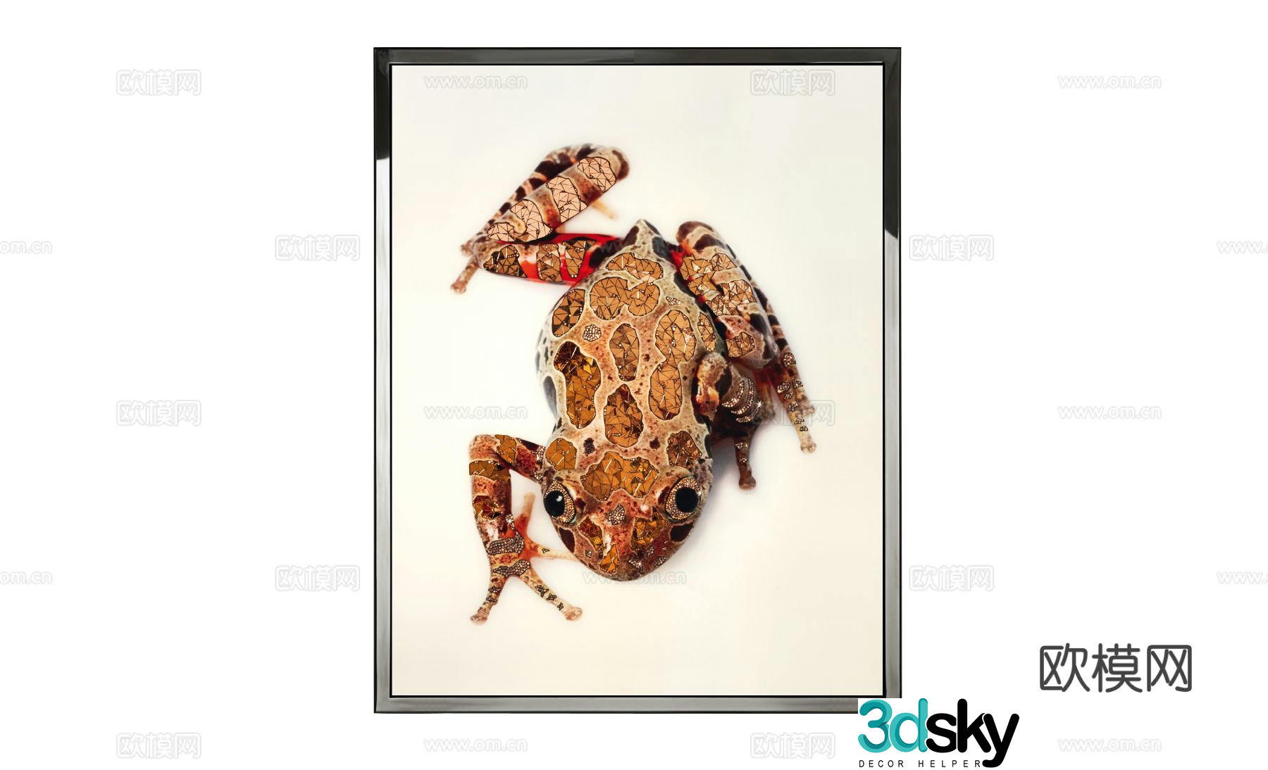 Visionnaire RANA Frog hanging painting 3d model