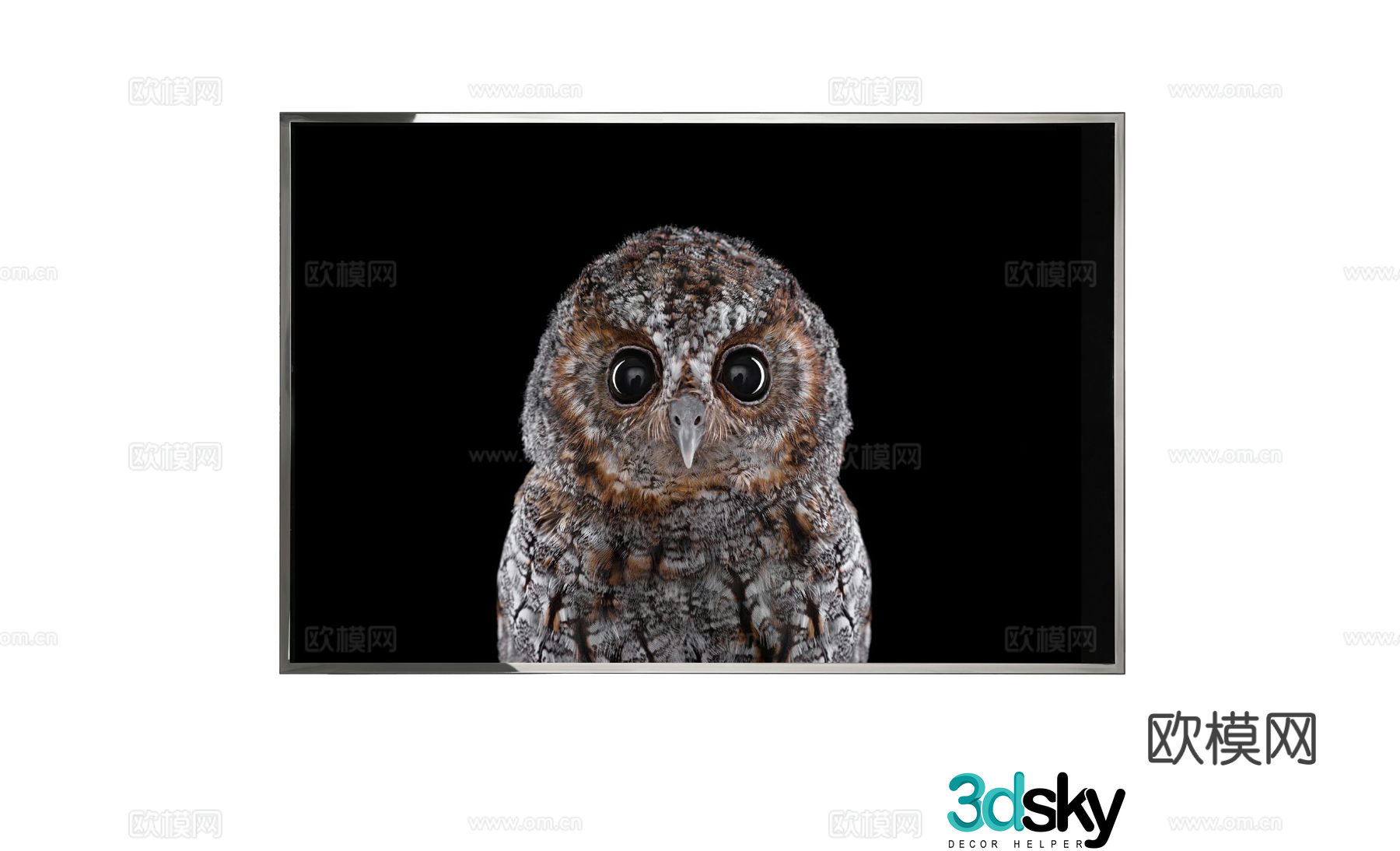 Visionnaire Postmodern Owl Hanging Painting 3D Model