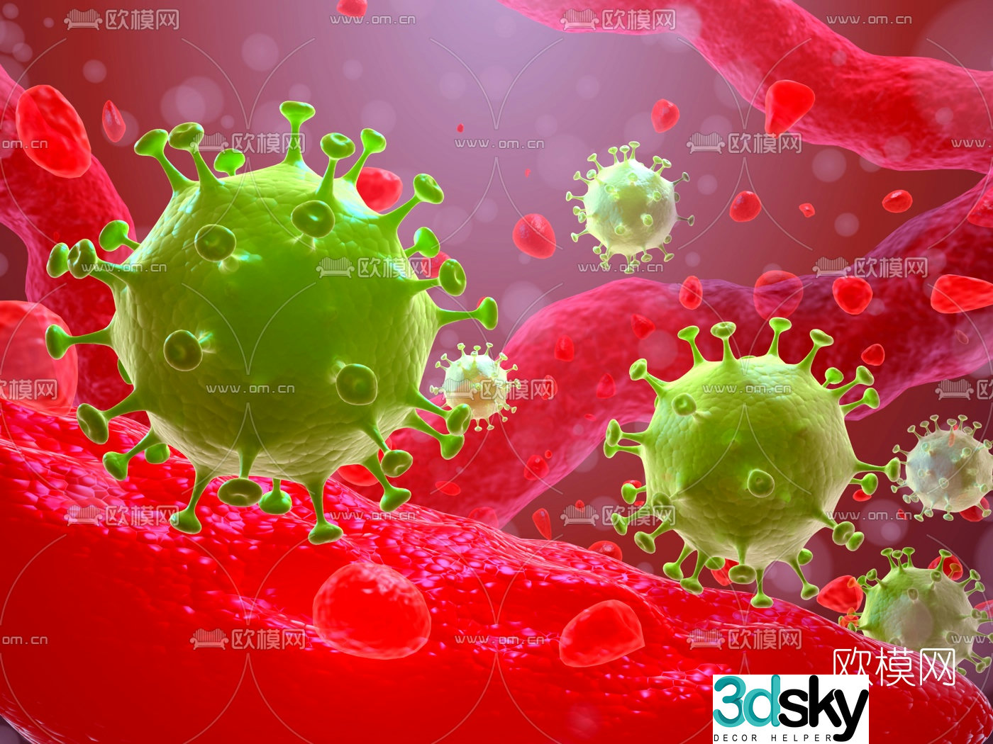 Modern coronavirus cell 3d model