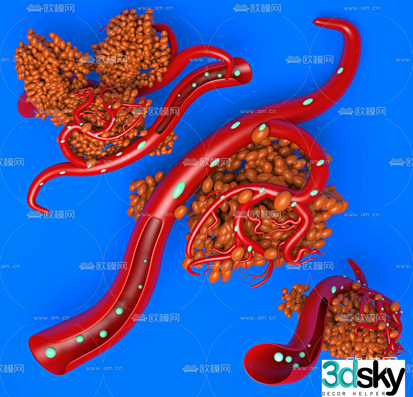 Modern blood vessel connected cells 3d model