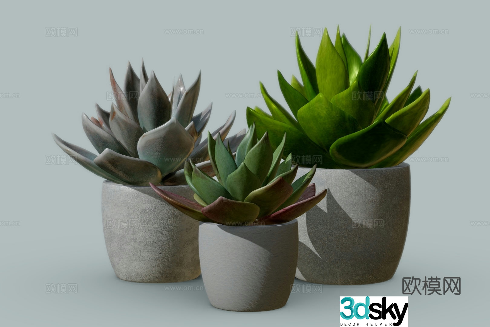 modern potted plants bonsai succulents 3d model