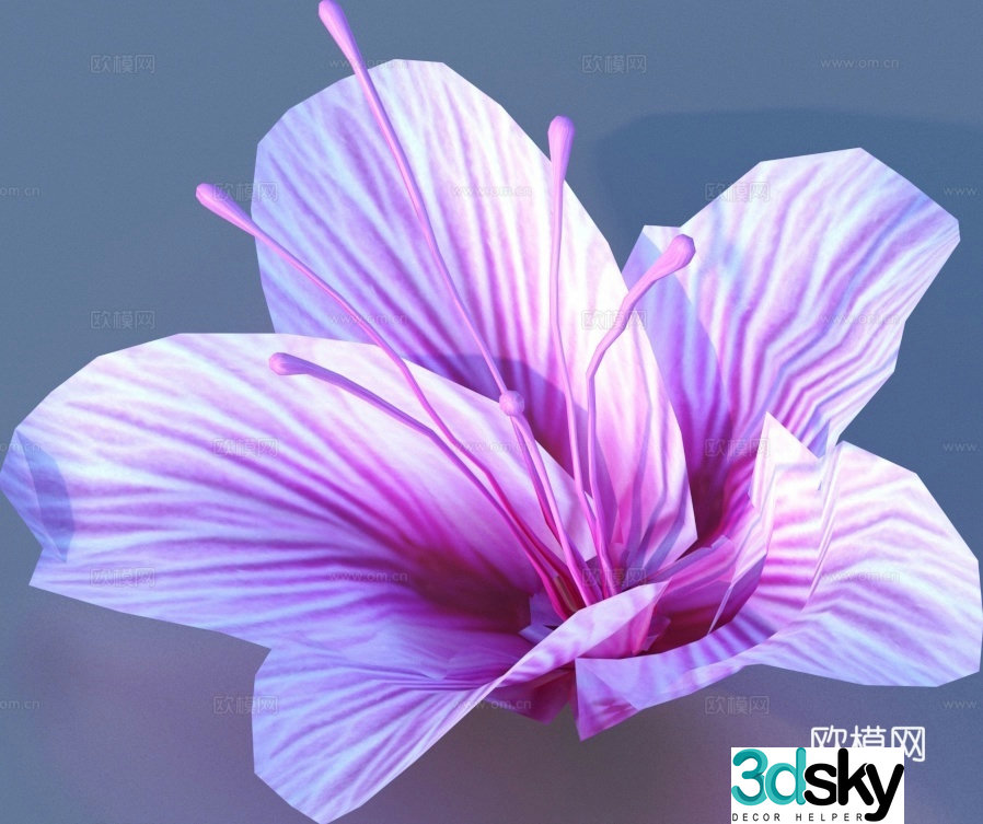 flower wildflower green plant flower 3d model