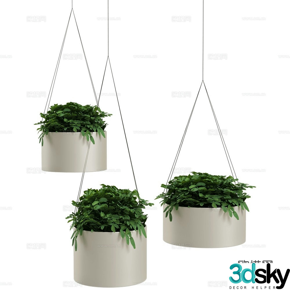 Modern hanging basket plants green plants plant pots 3d model