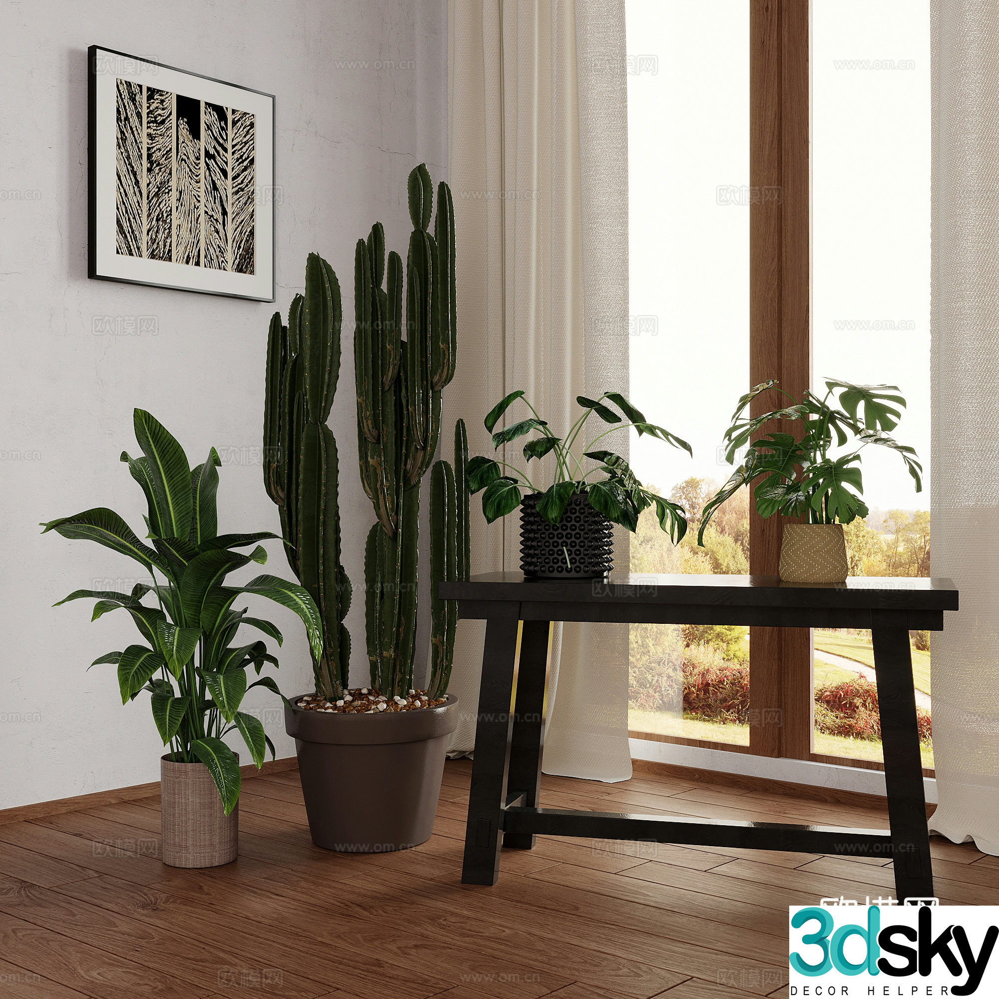 green plant monstera potted plant bonsai cactus 3d model