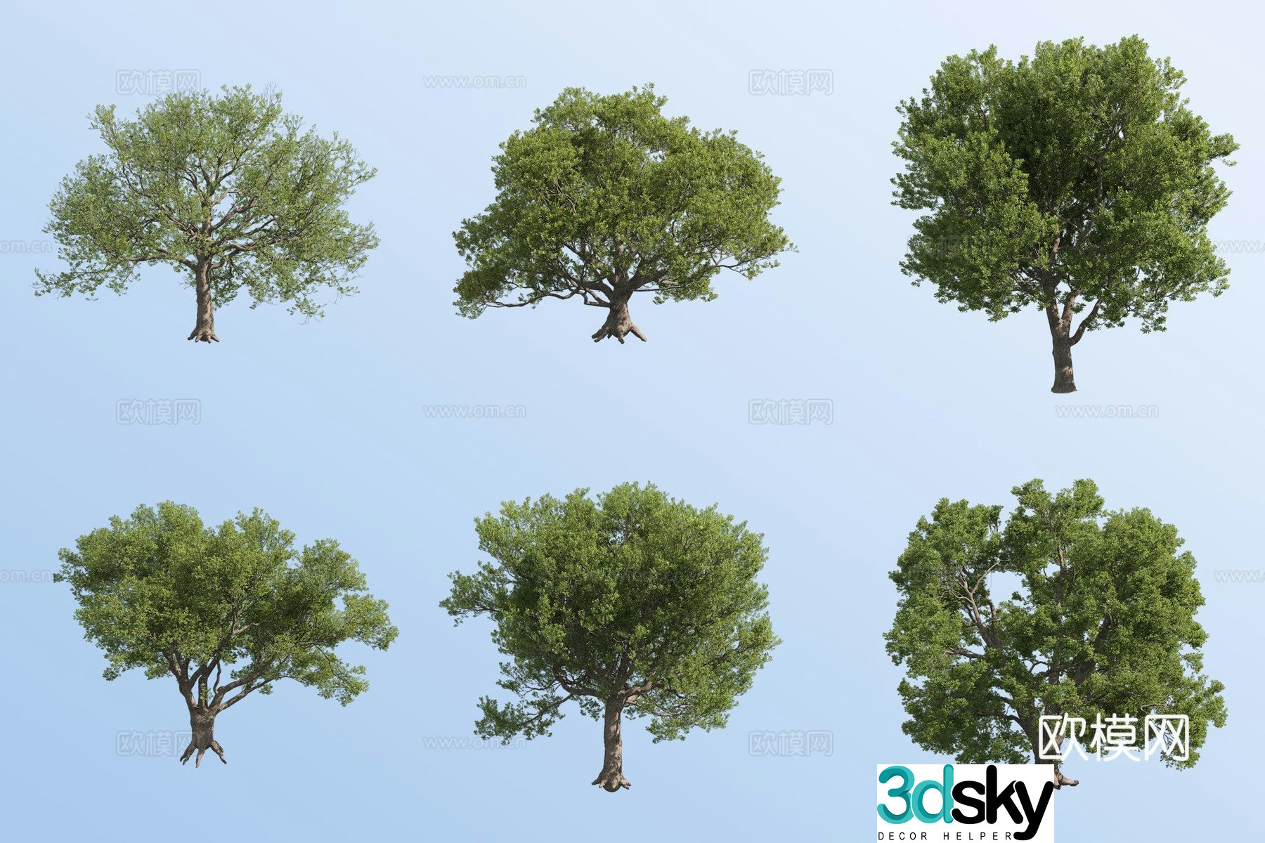 Summer oak tree landscape tree 3d model