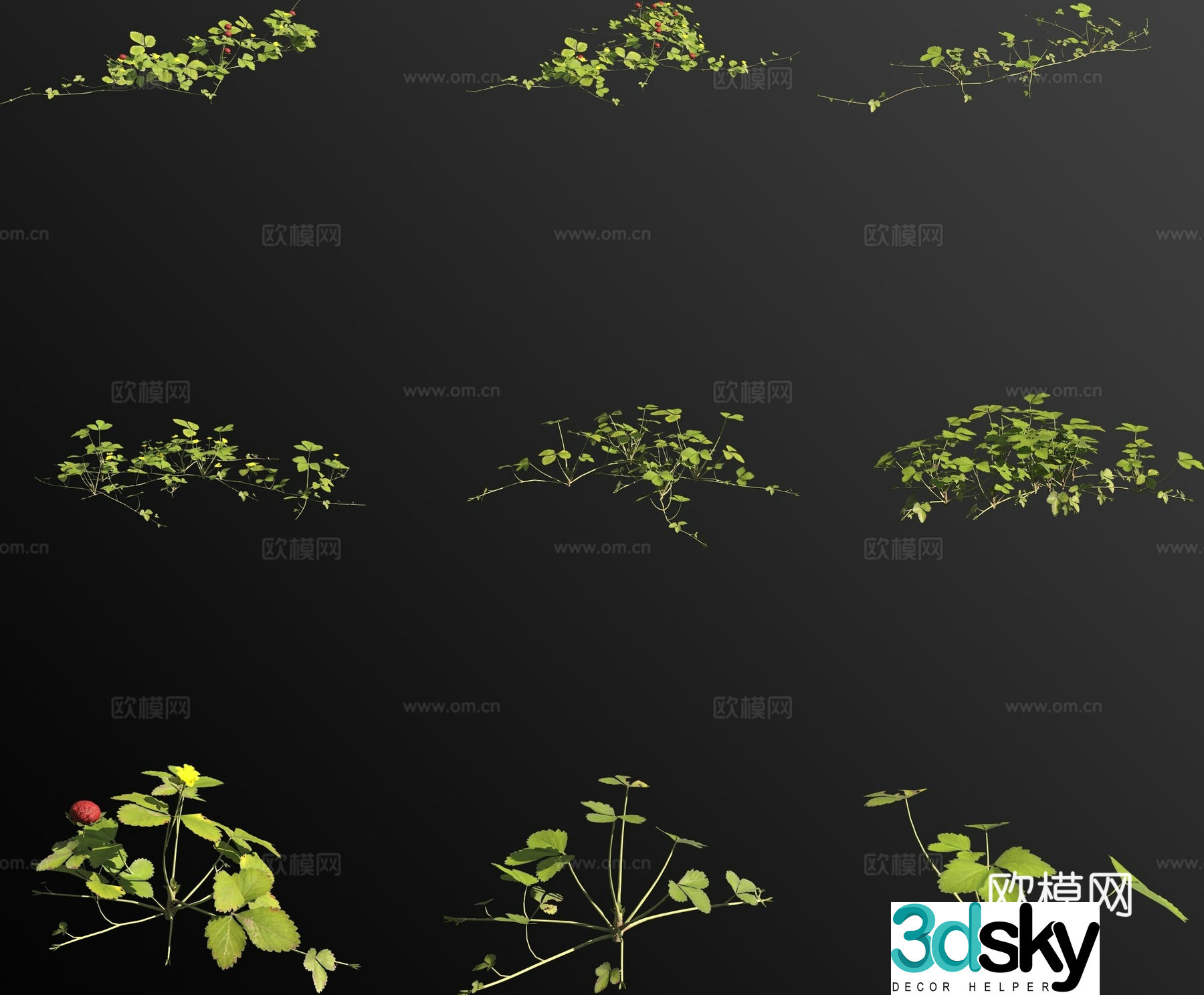 Snake grass flower 3d model