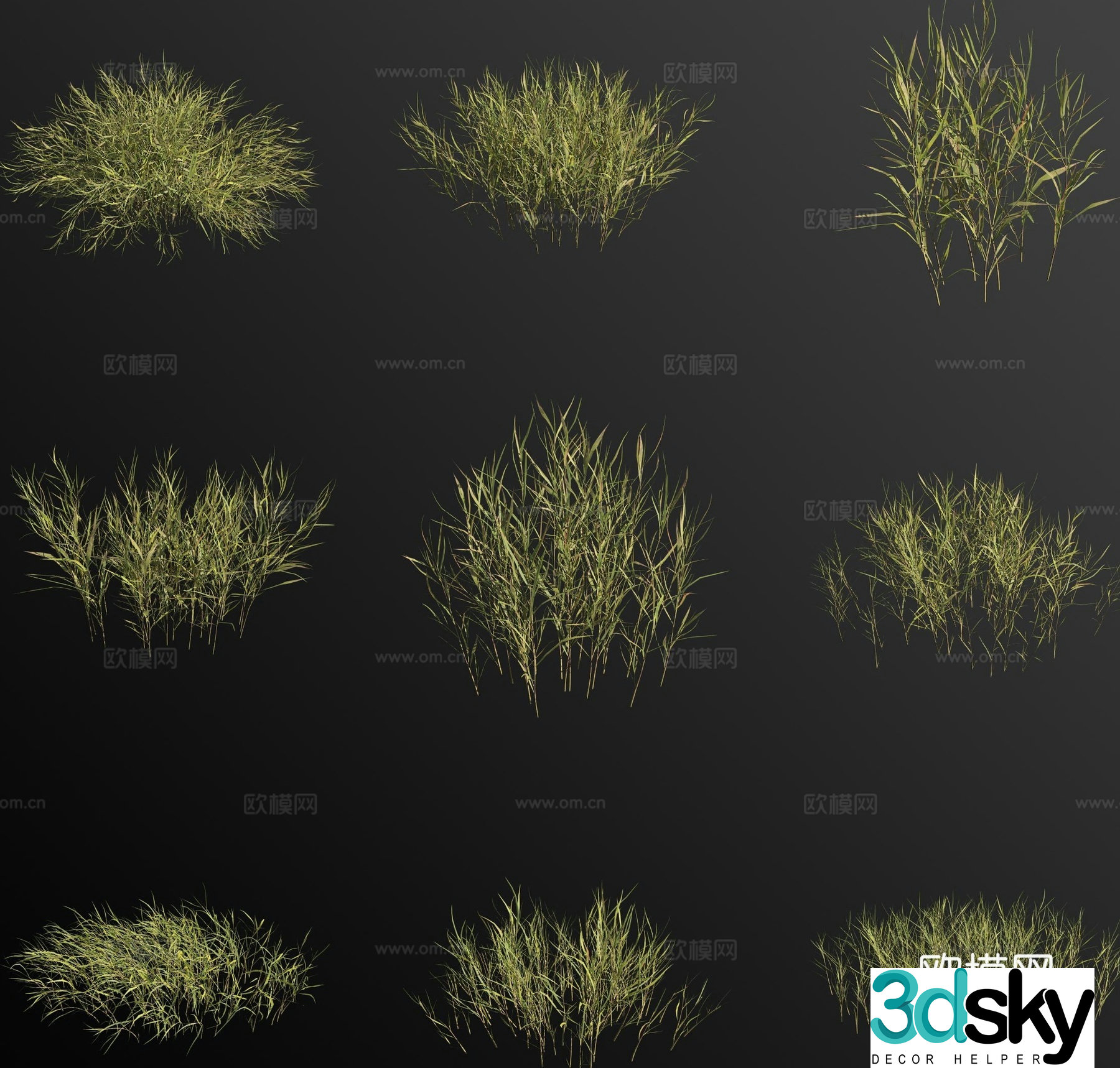Golden grass flower 3d model