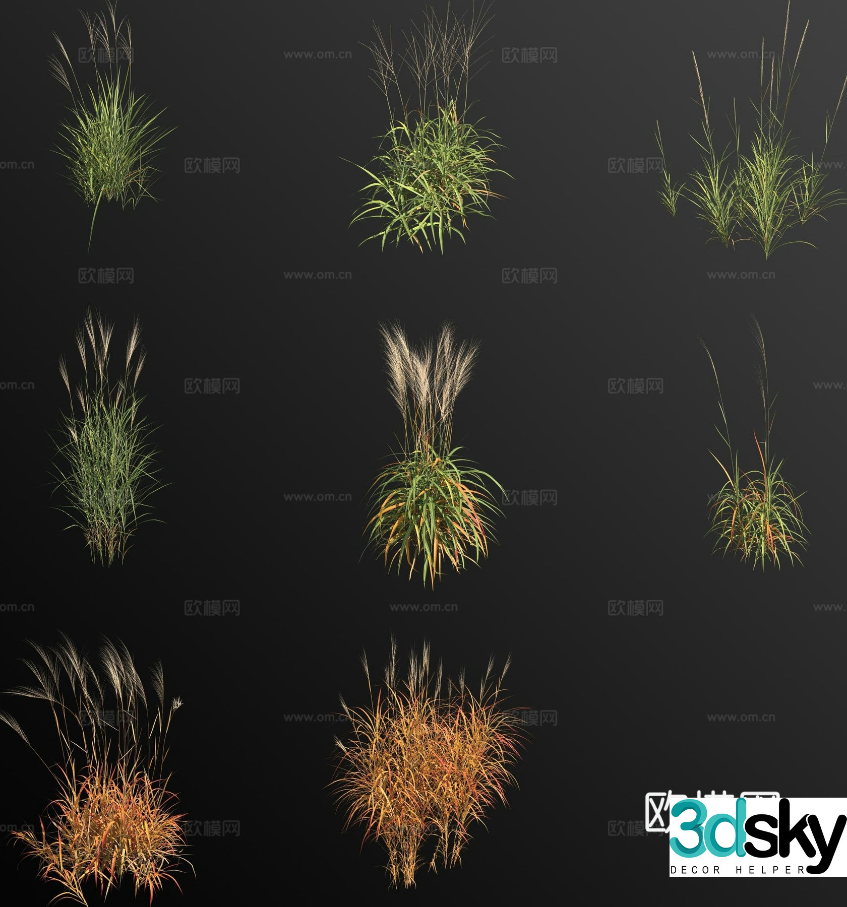 purple miscanthus weed weed flower and grass 3d model