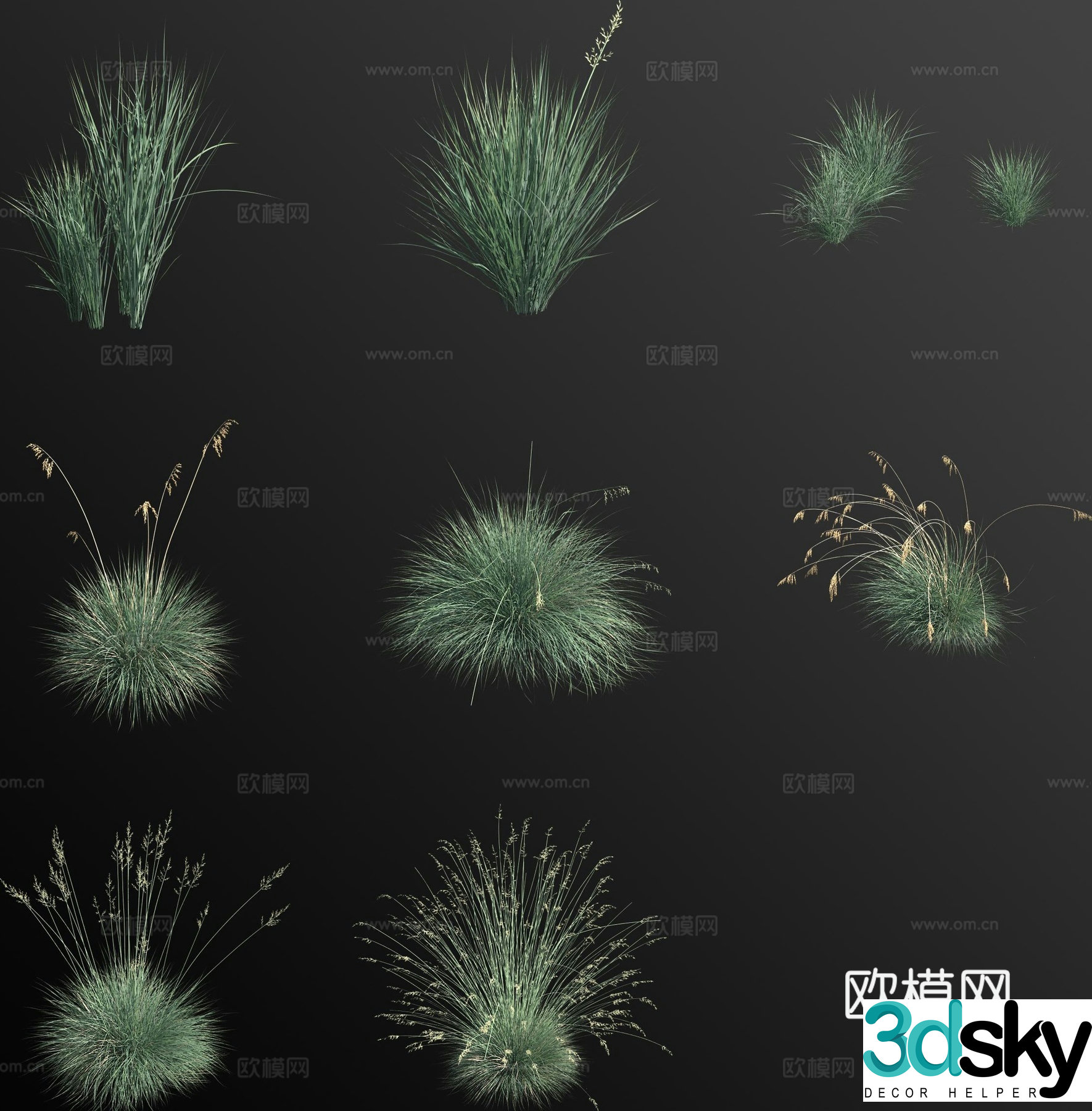 Blue oat grass flower 3d model