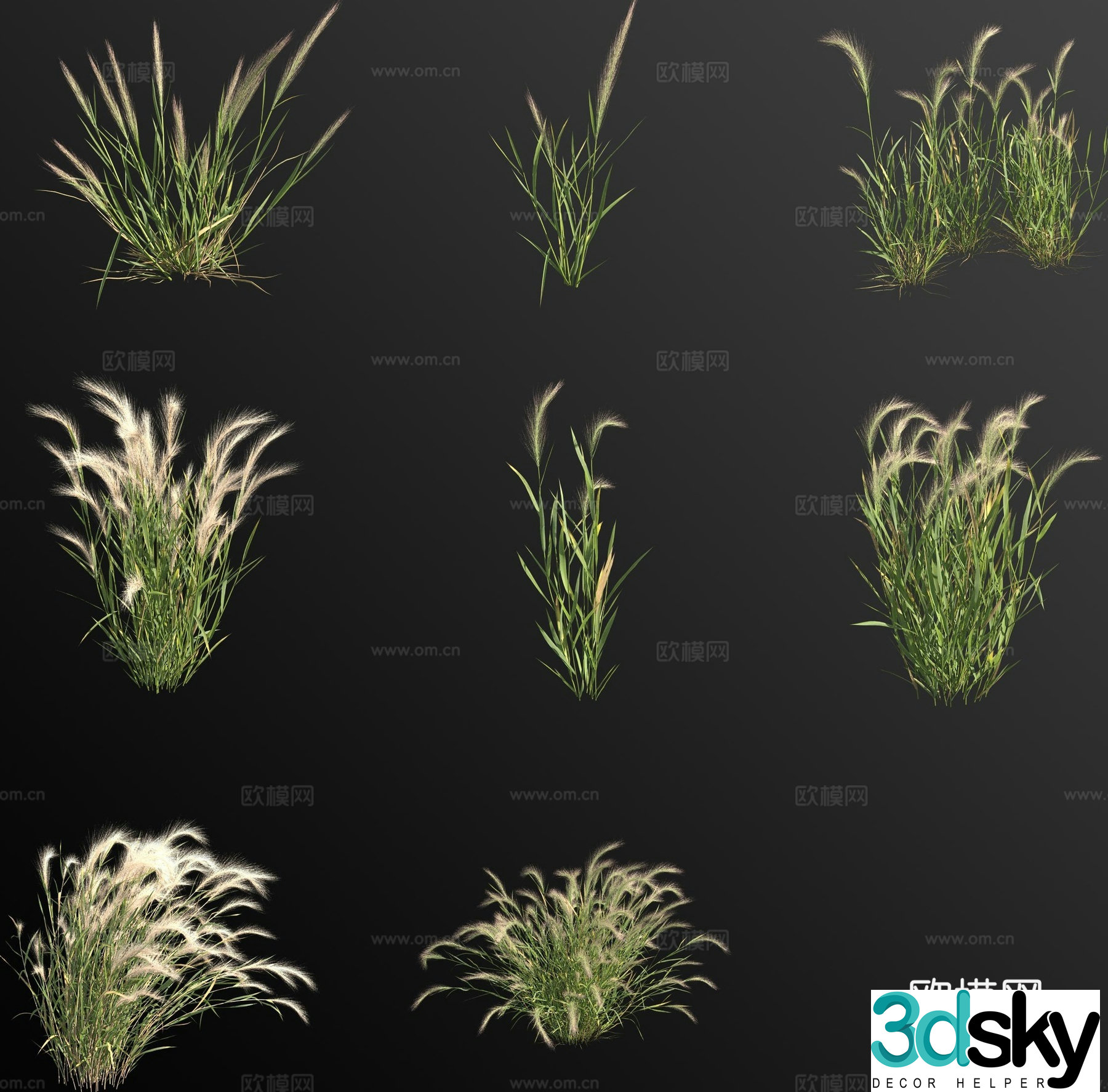 Mang Ying Barley Grass Flowers and Grass 3D Model