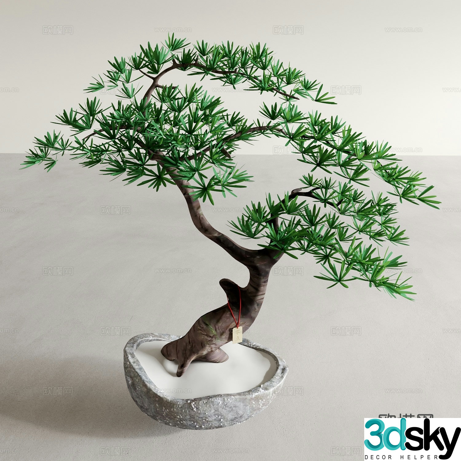 Pine bonsai indoor green plant 3d model