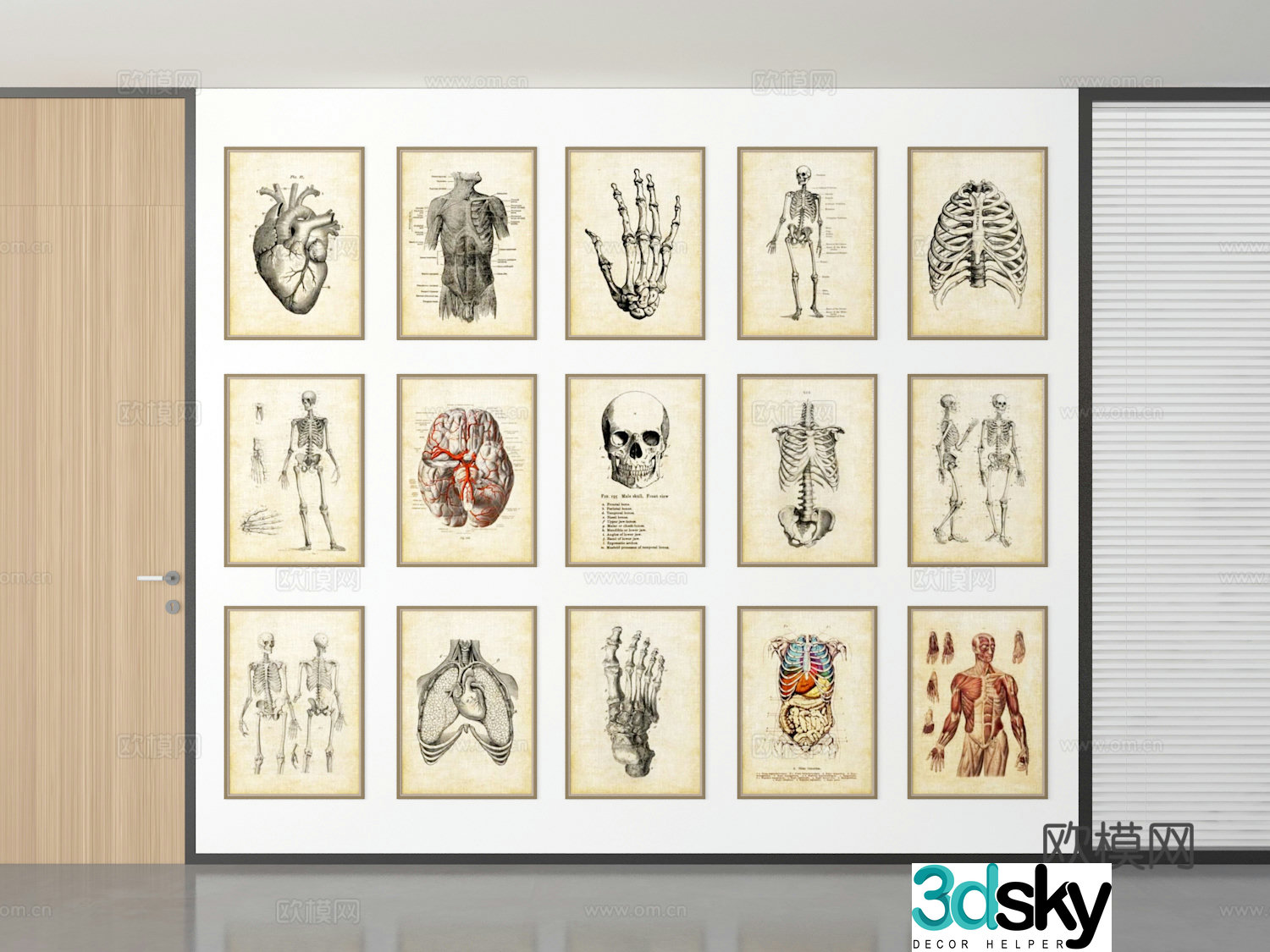 Human body table muscle table medical tutorial 3d model