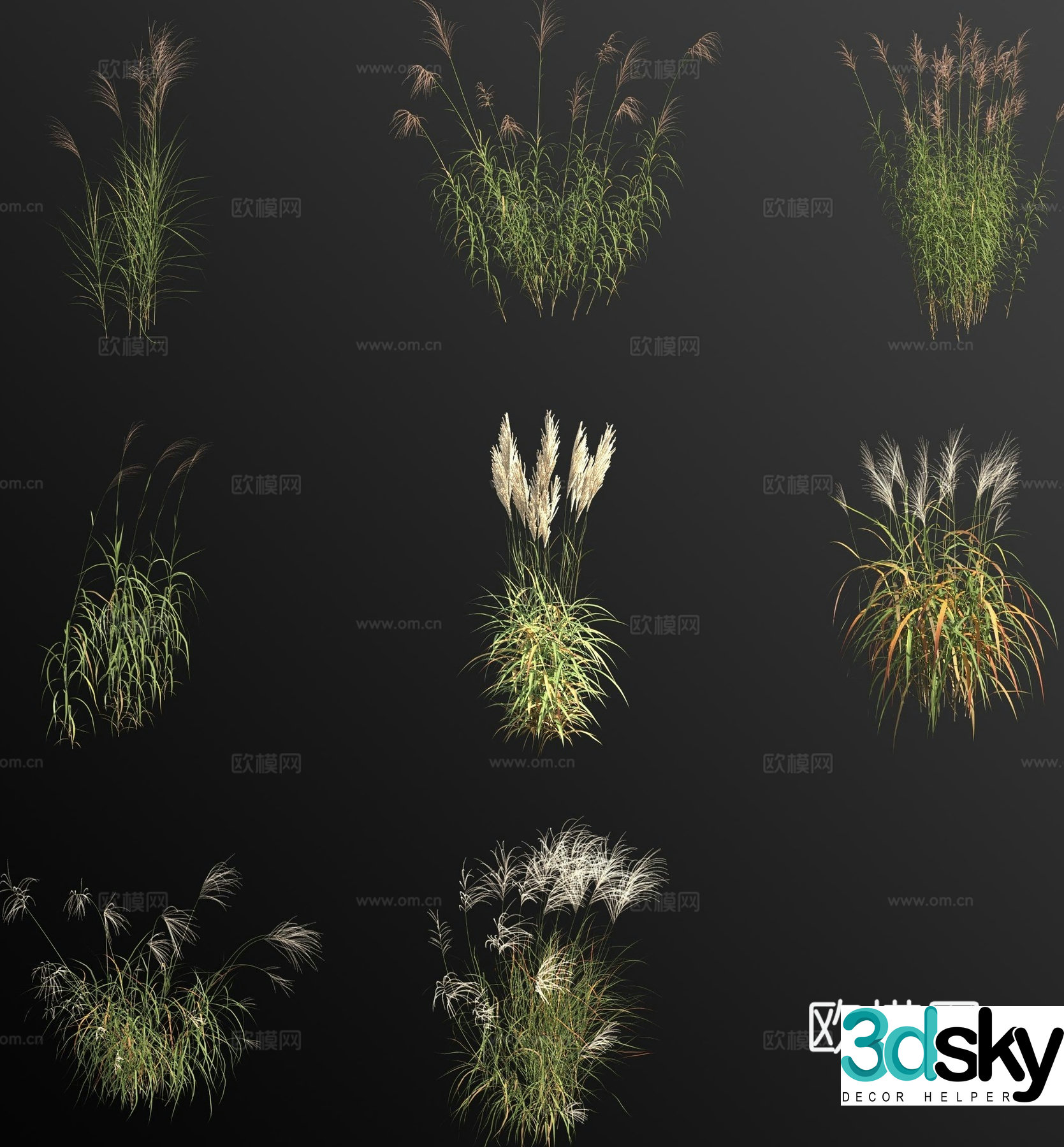 3d model of sorghum flower and grass