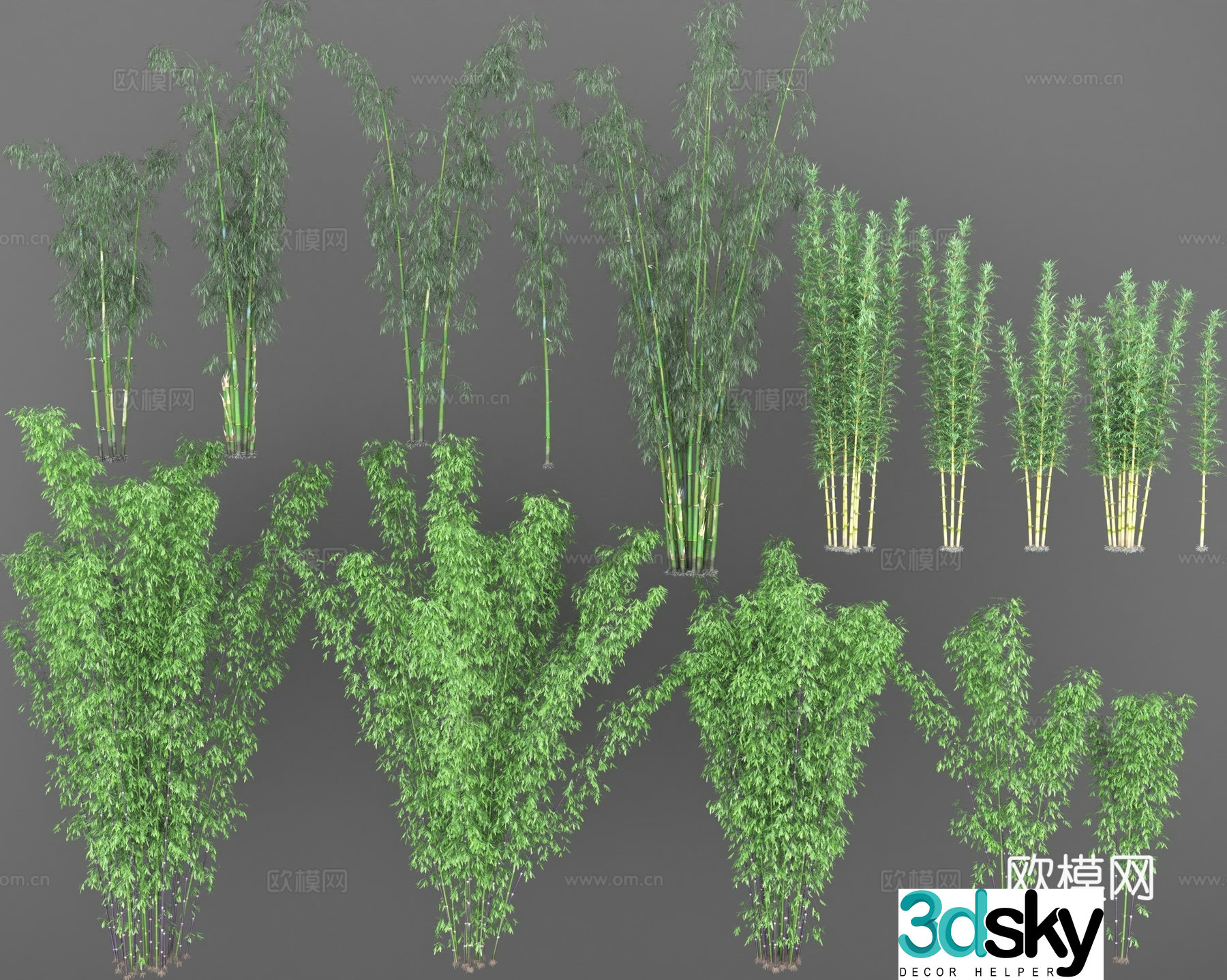 Bamboo purple bamboo early round bamboo strong bamboo green bamboo big bamboo tall bamboo bamboo shoots mottled bamboo 3D model