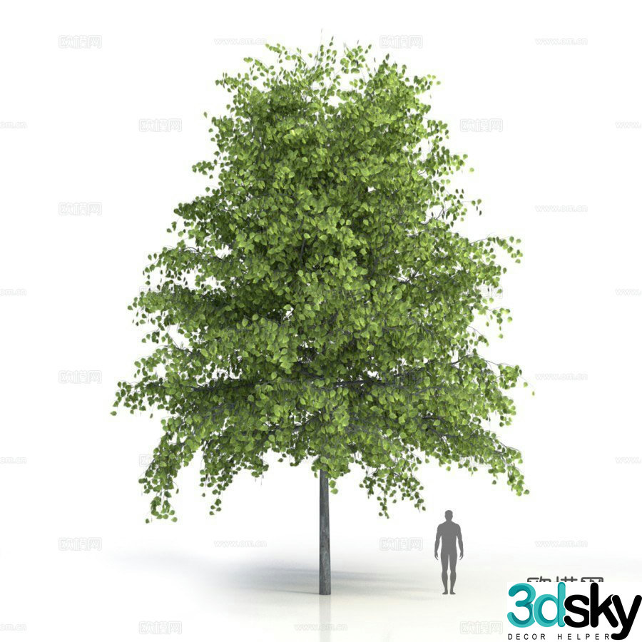plants trees arbor tree 3d model
