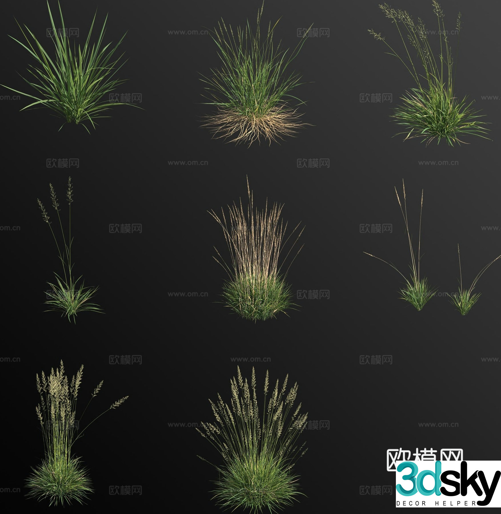 Large flower grass 3D model