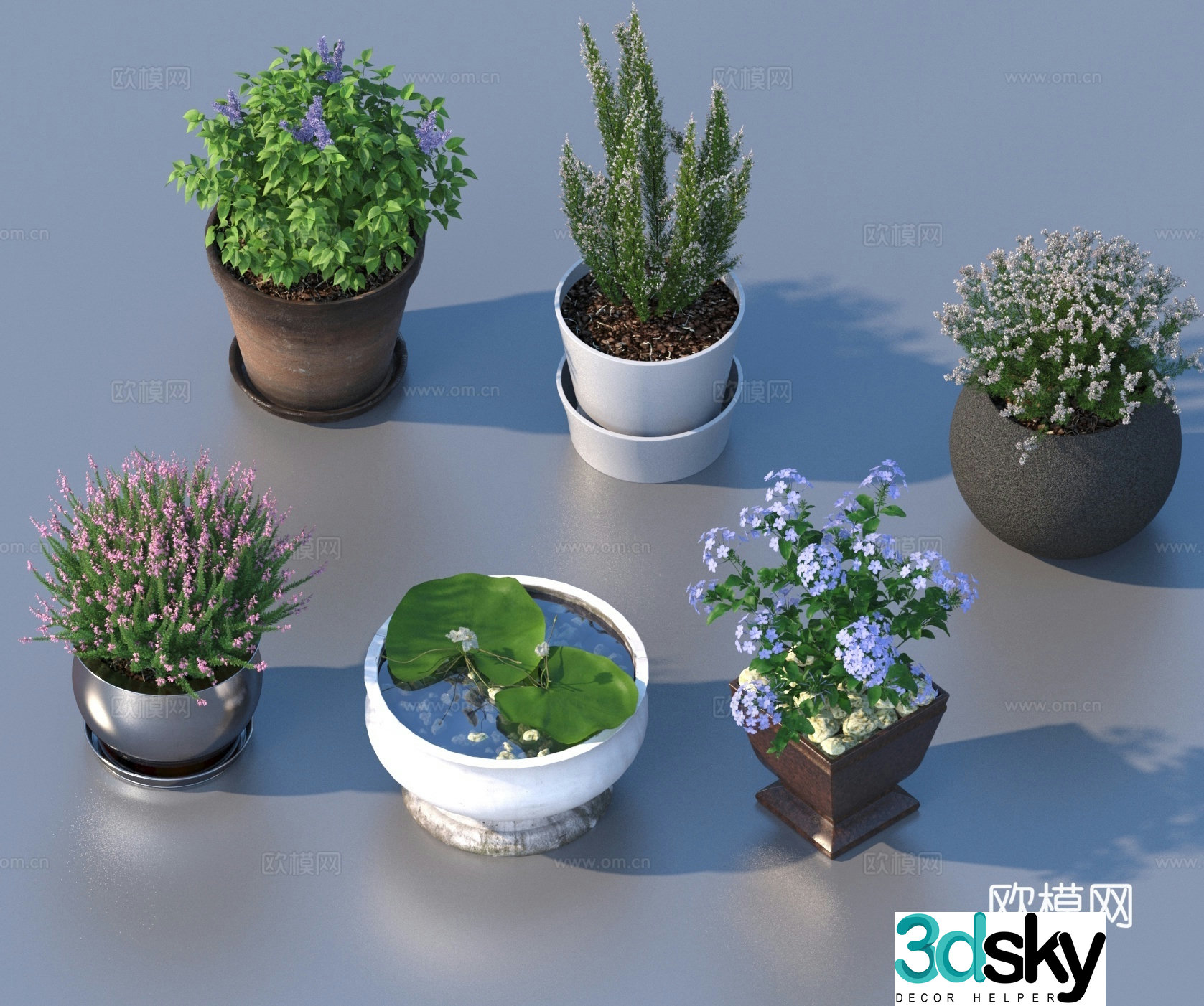 flowerpot potted plant green plant plant 3d model