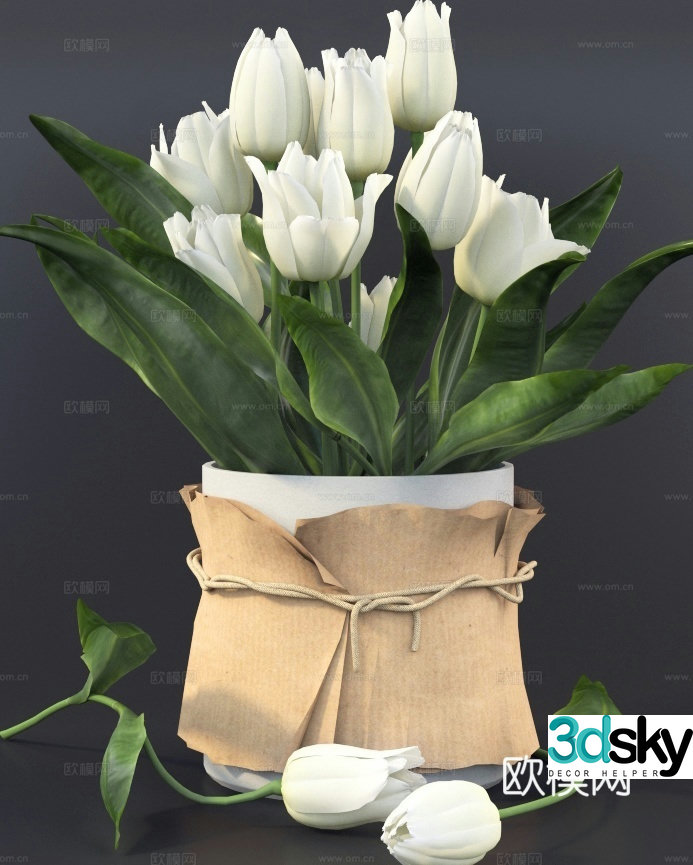 display flowers floral 3d model