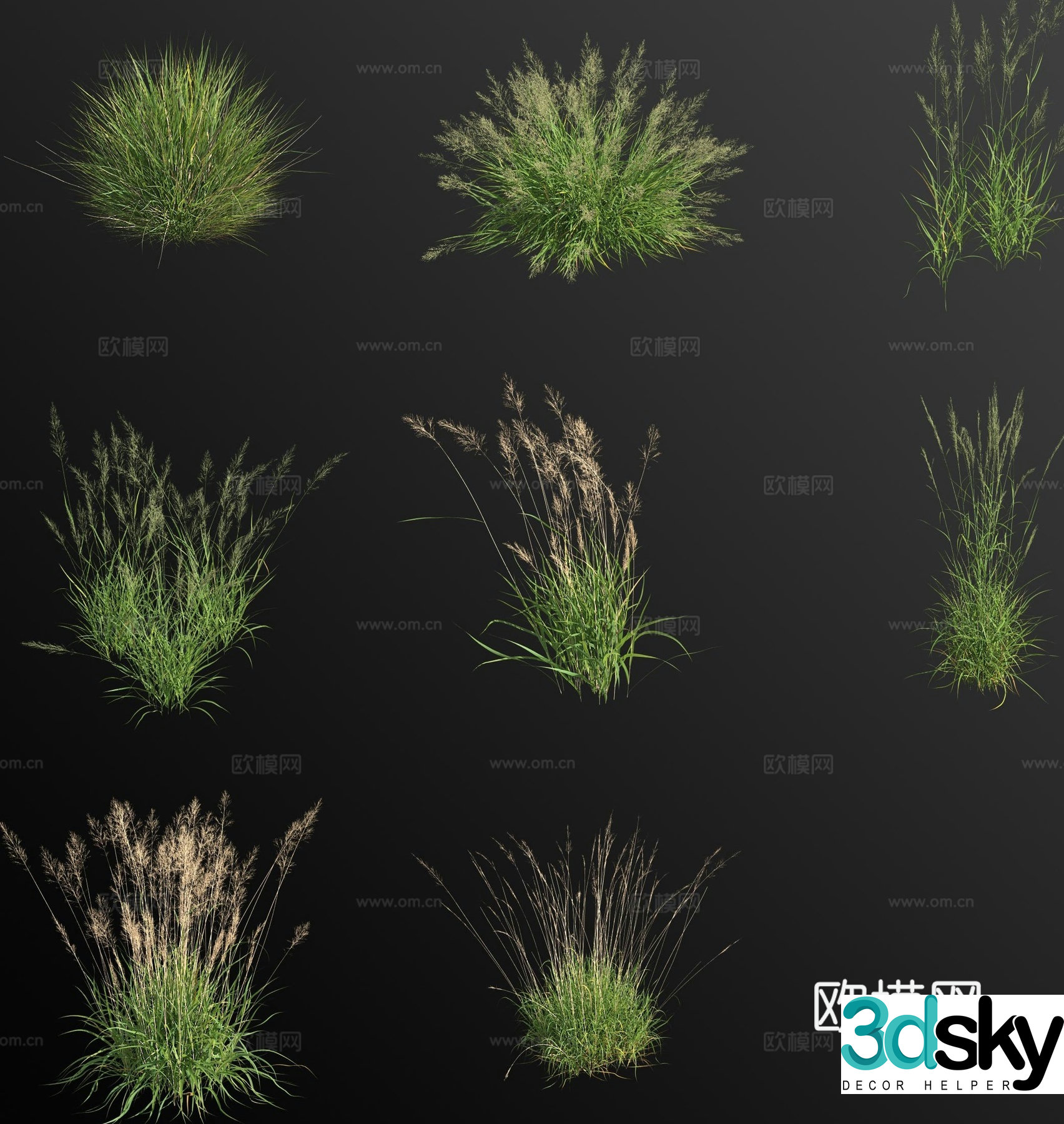 Wild green thatch weeds weeds flowers and grass 3d model