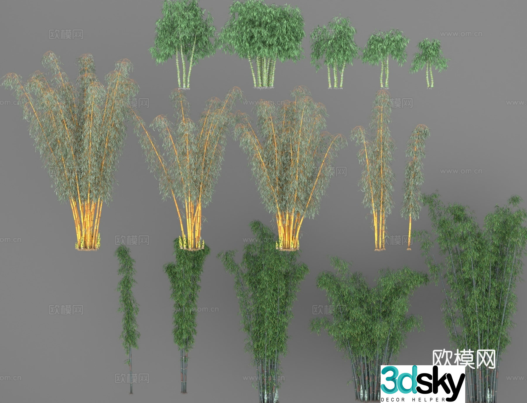 Yellow Pattern Bamboo Golden Bamboo Buddha Belly Bamboo Arhat Bamboo Bamboo Green Bamboo Spotted Bamboo Early Round Bamboo 3D Model