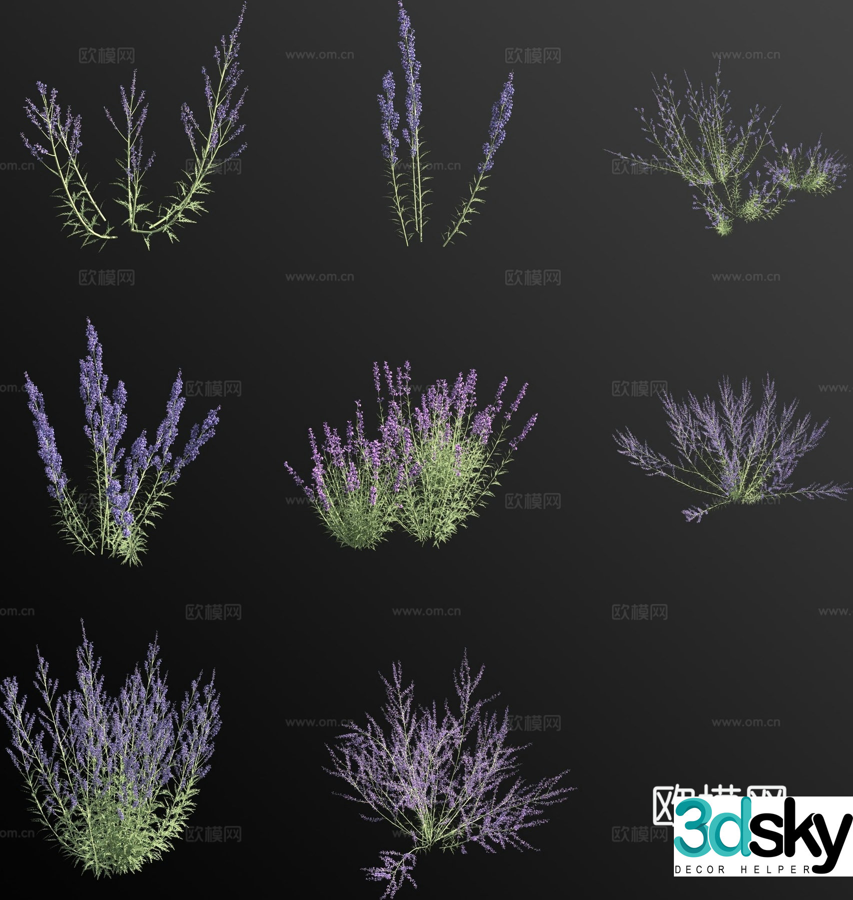 Tribulus leaves and medicinal flowers Russian sage 3D model