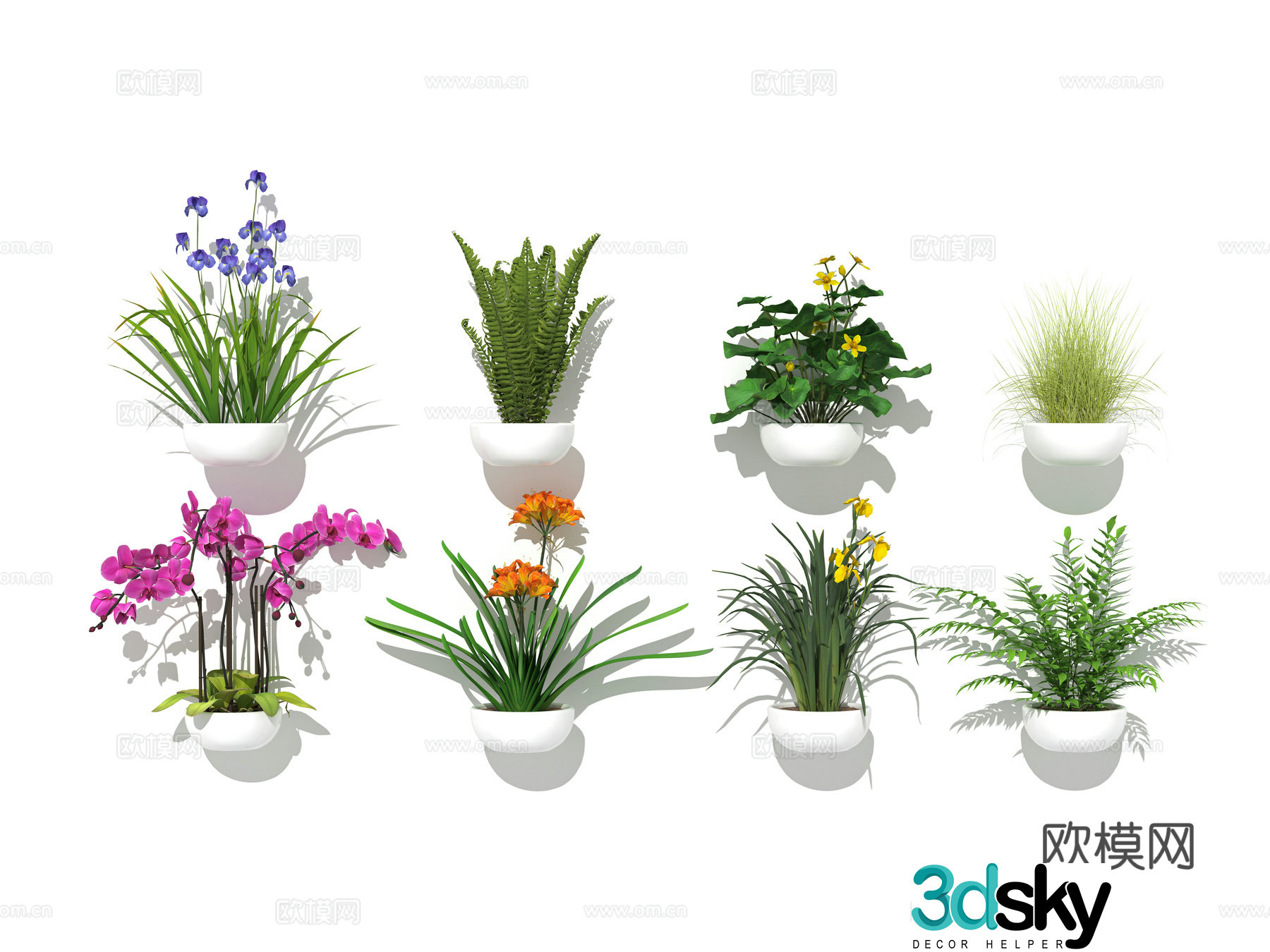 Small potted plants flower pot green plants Phalaenopsis Clivia kidney fern 3D model