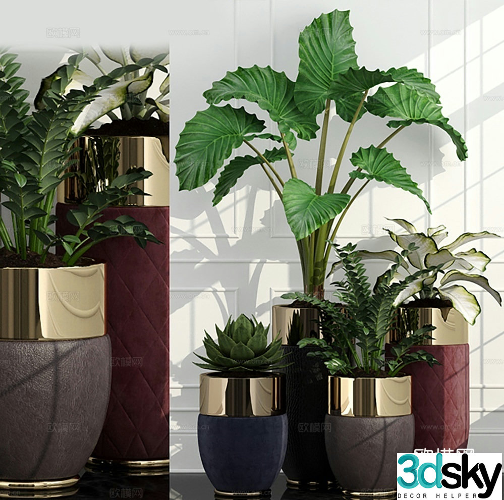 potted plant flowerpot green plant 3d model