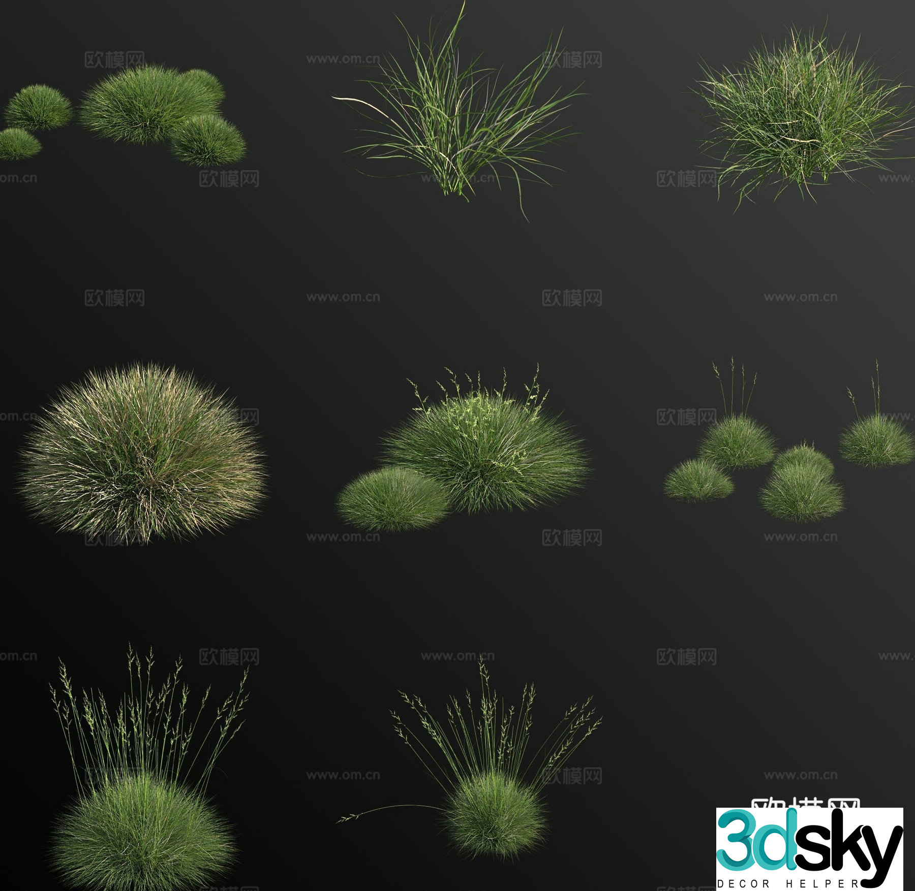 European bluebell flower 3d model