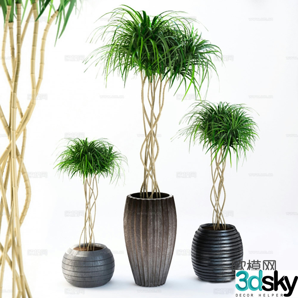 plant potted flowerpot 3d model