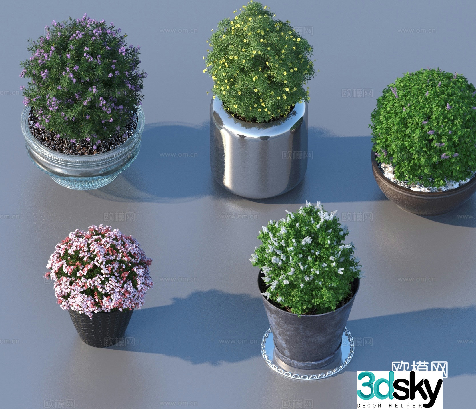 flowerpot potted plant green plant plant 3d model