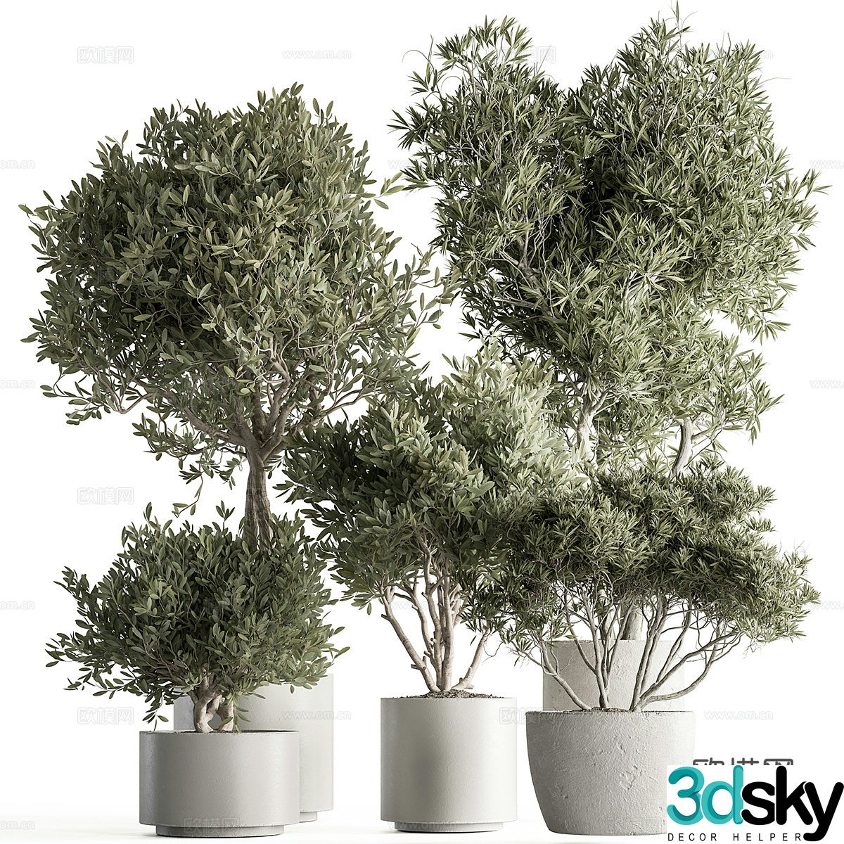 Green plant potted plant 3d model