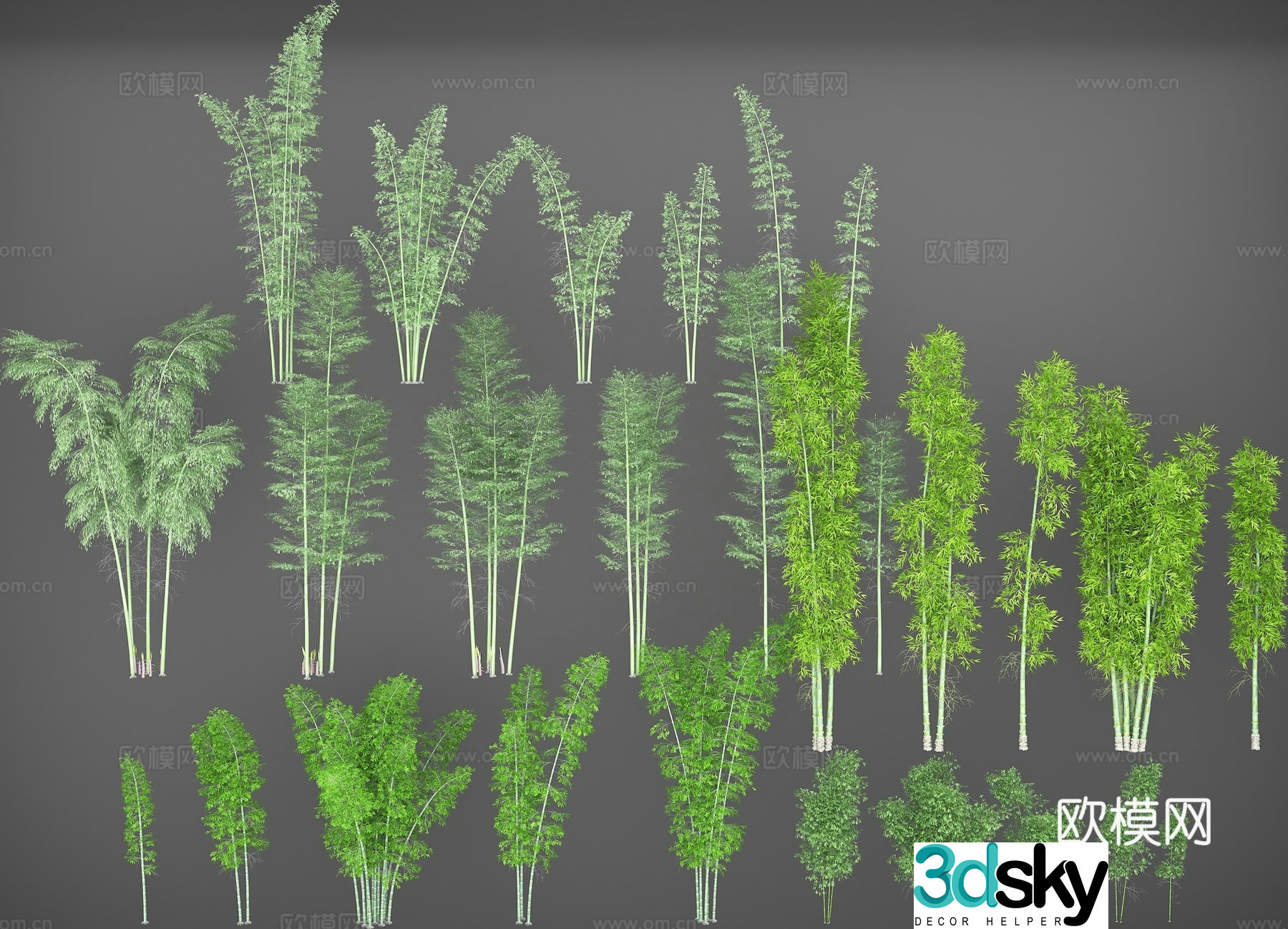 Bamboo early round bamboo strong bamboo green bamboo big bamboo tall bamboo bamboo shoots mottled bamboo 3D model