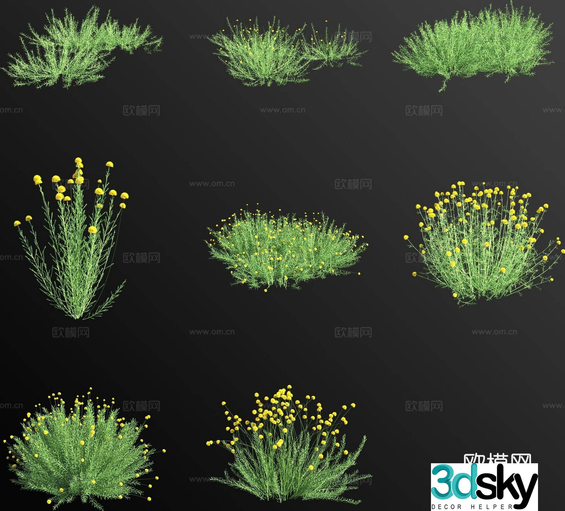Rosemary Leaves Gingerbread Chrysanthemum Grass 3d model