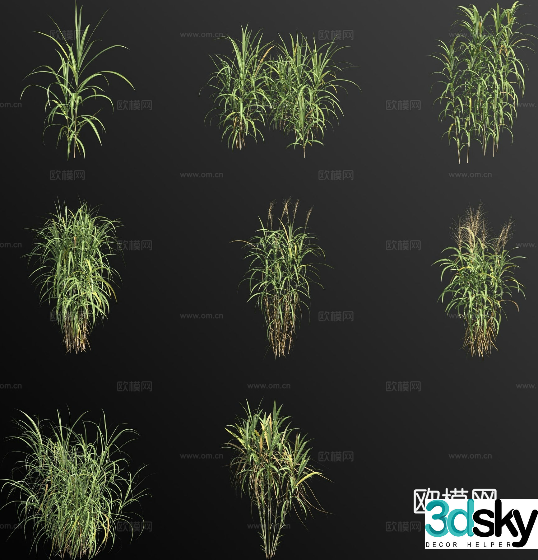 Miscanthus weeds weeds flowers and grass 3d model