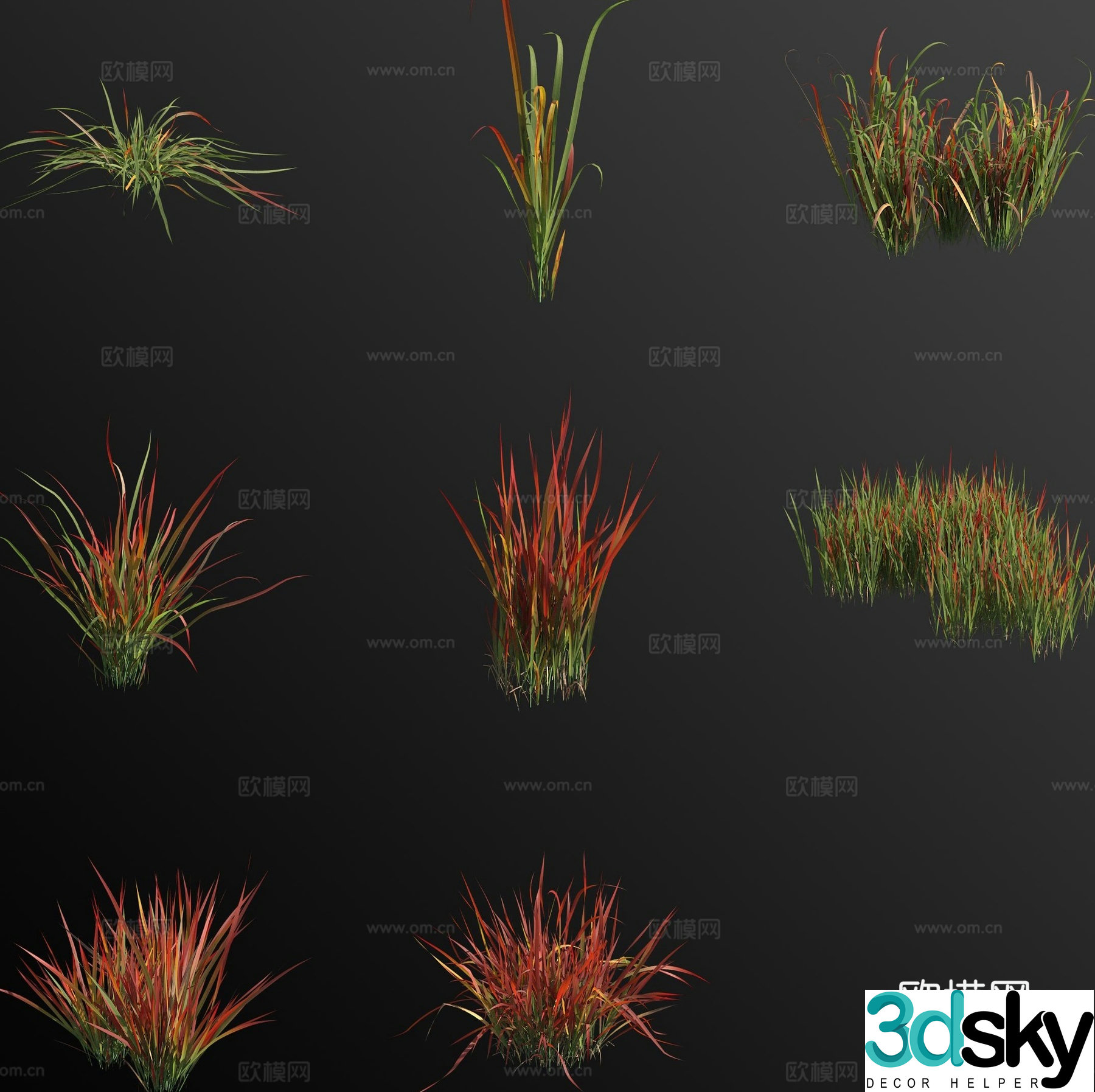 Japanese blood grass blood thatch weed weed flower 3d model