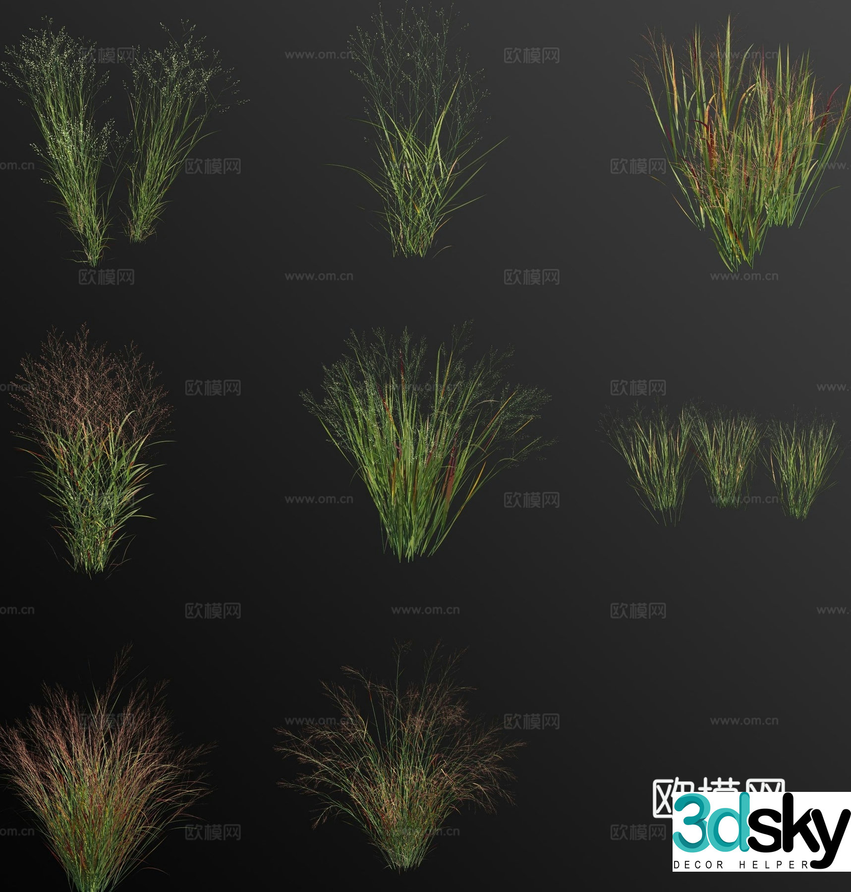 switchgrass flower 3d model