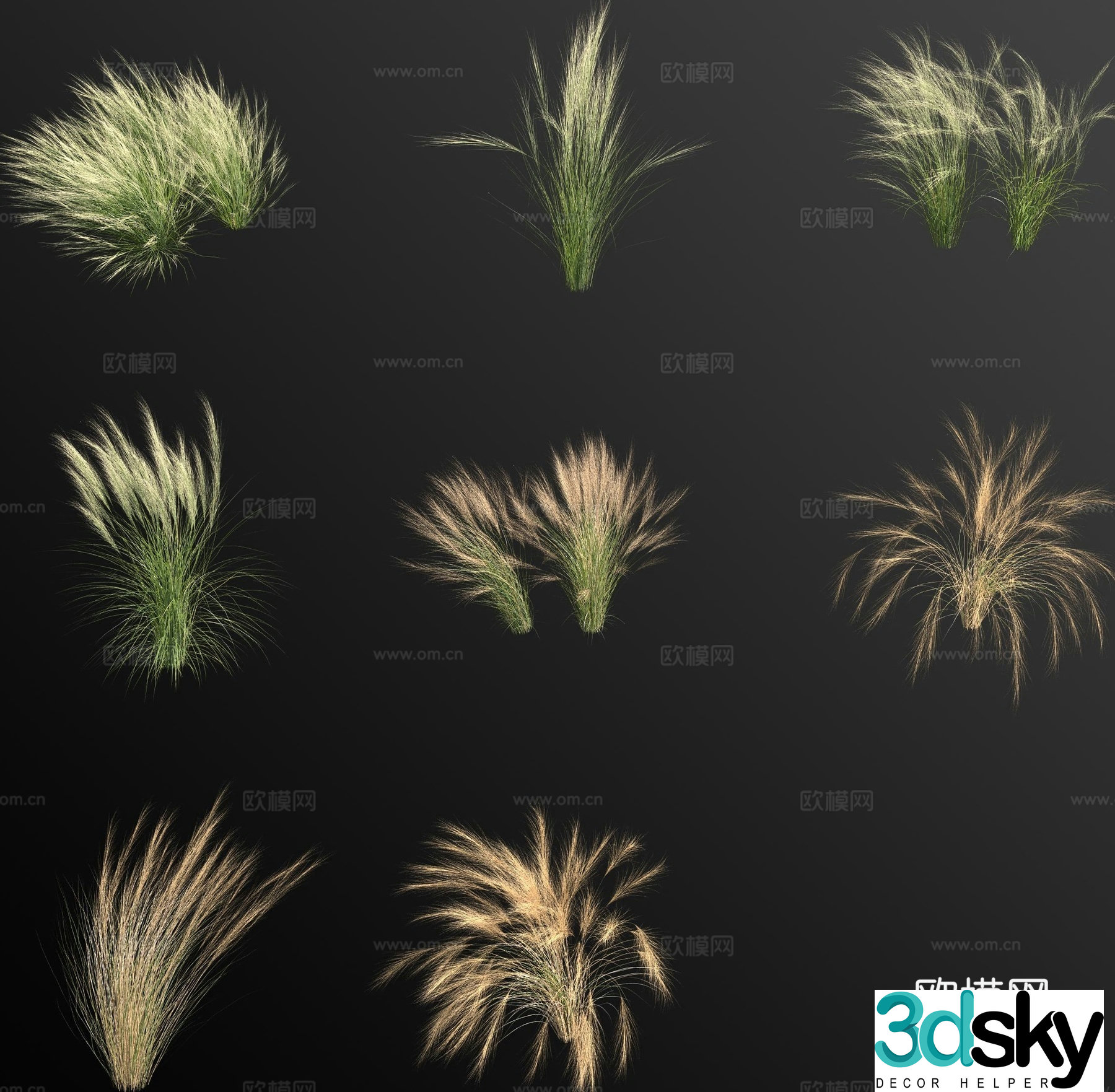 Stipa mexican feather grass wild grass weed flower 3d model