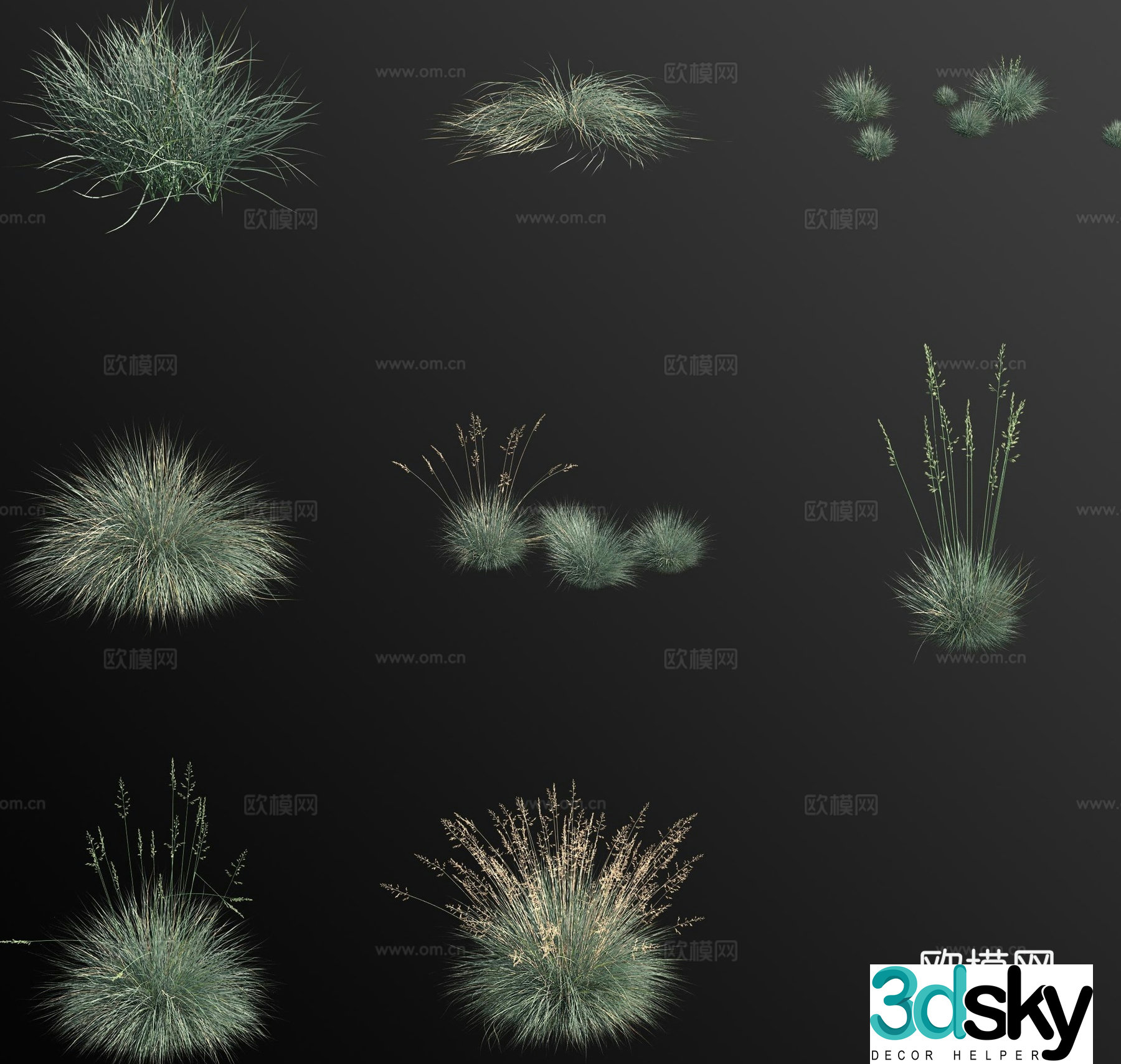 blue fescue grass flower 3d model