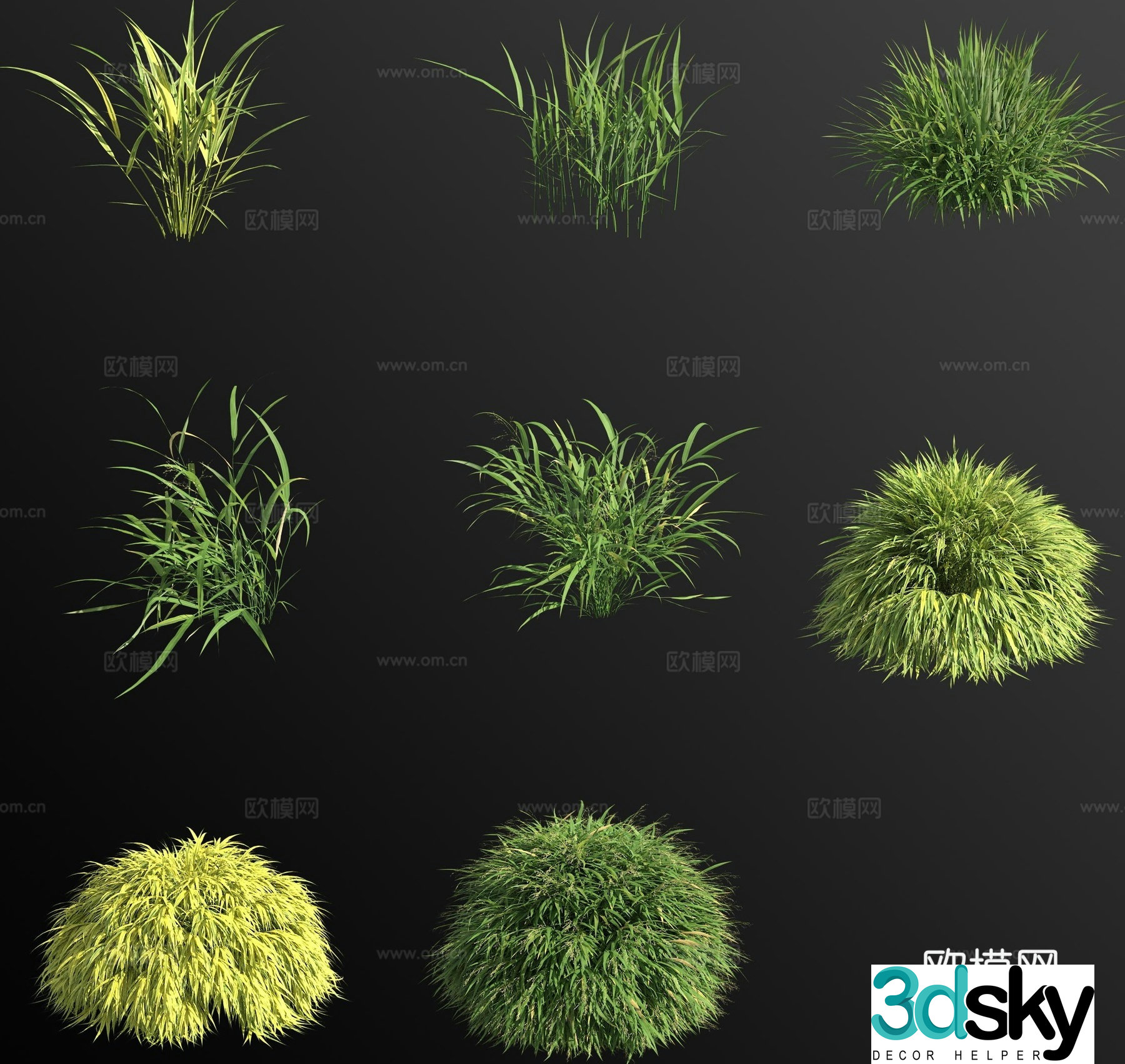 Golden leaf hakone grass flower 3d model