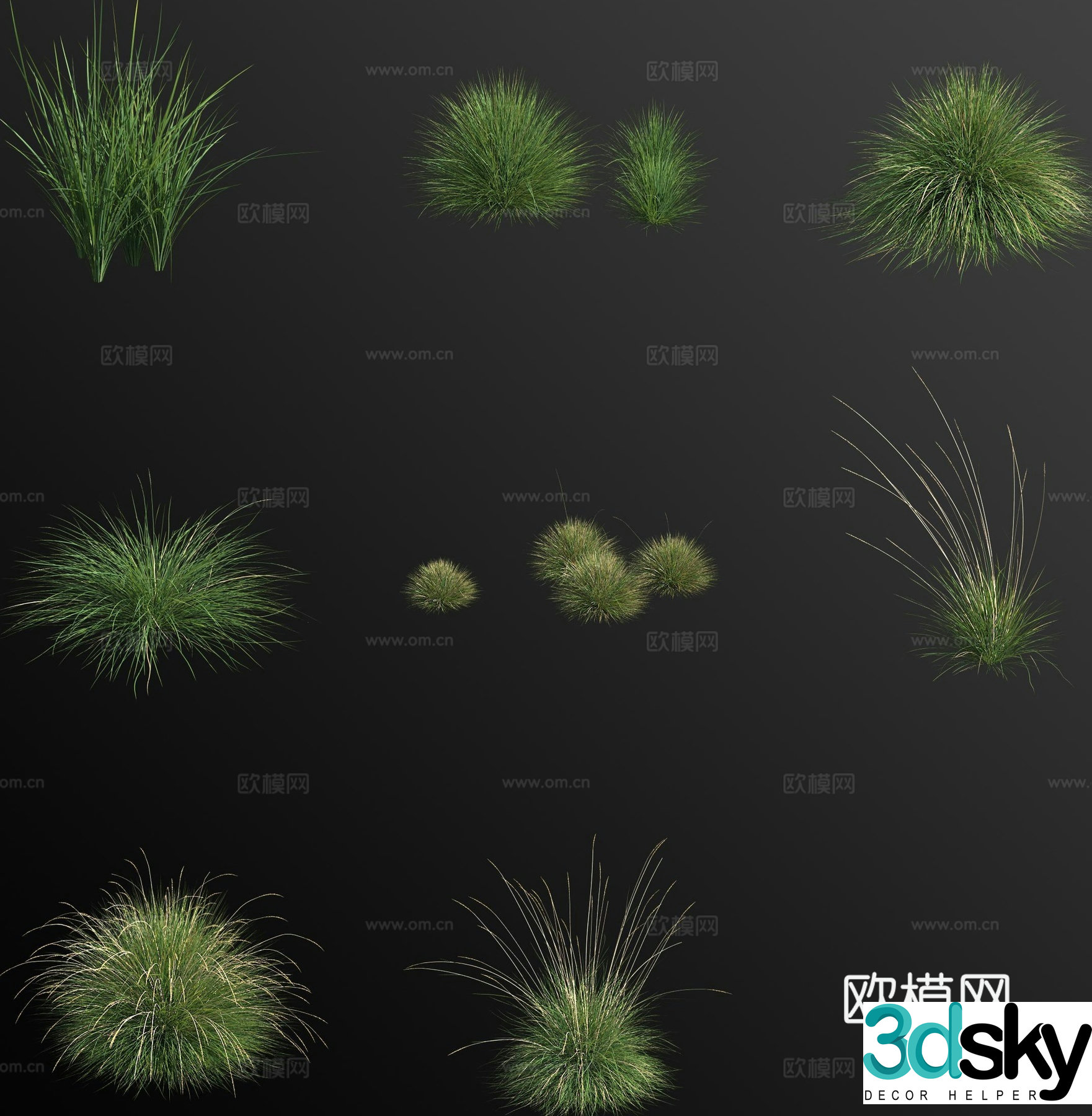 Fescue grass flower 3d model