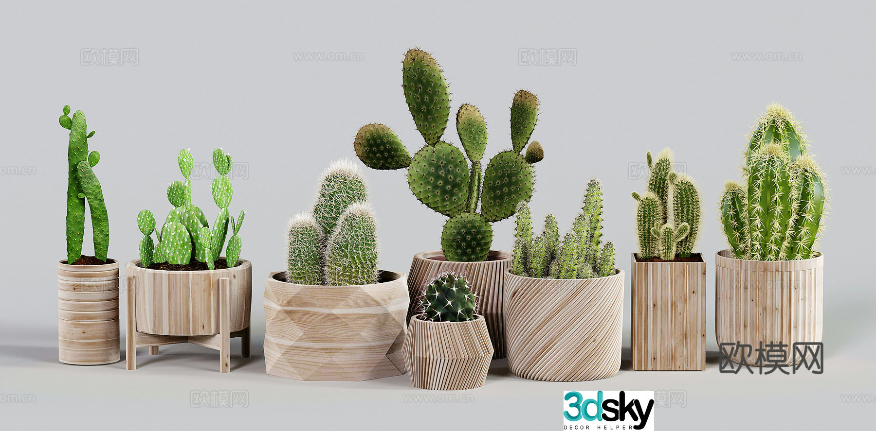 Modern potted plants cactus cactus cactus finger 3d model