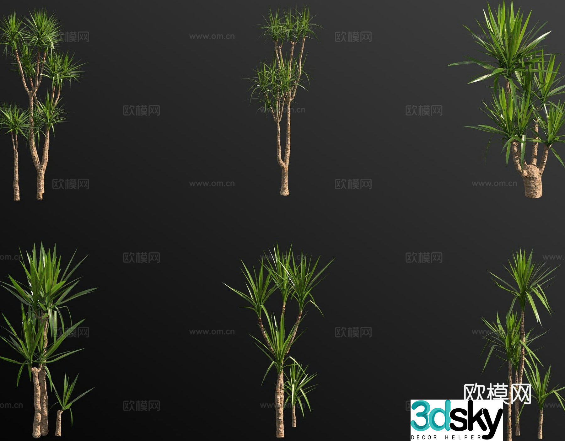 Dutch iron tree landscape tree small tree tree 3d model