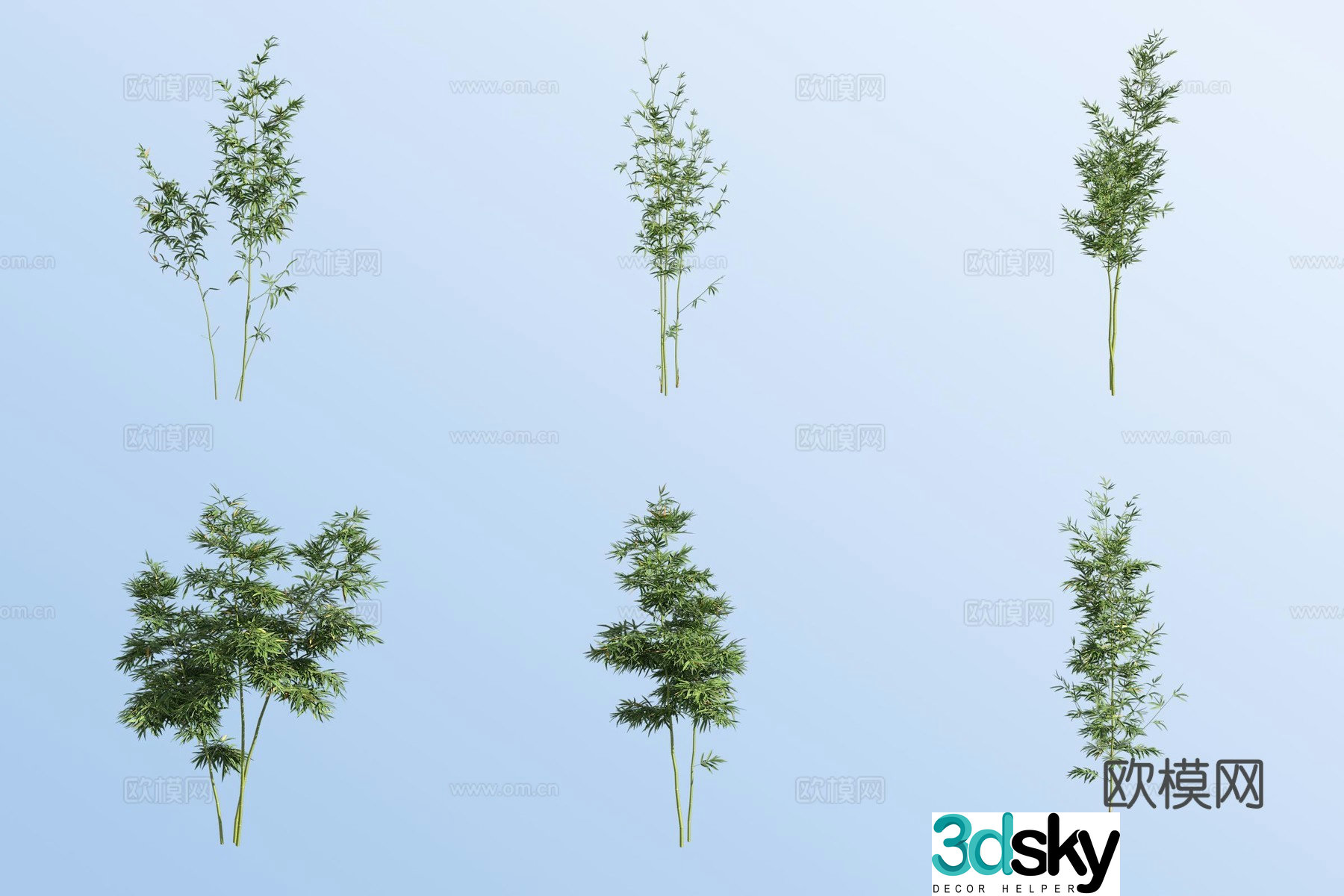 Xiaoqin silk bamboo 3D model