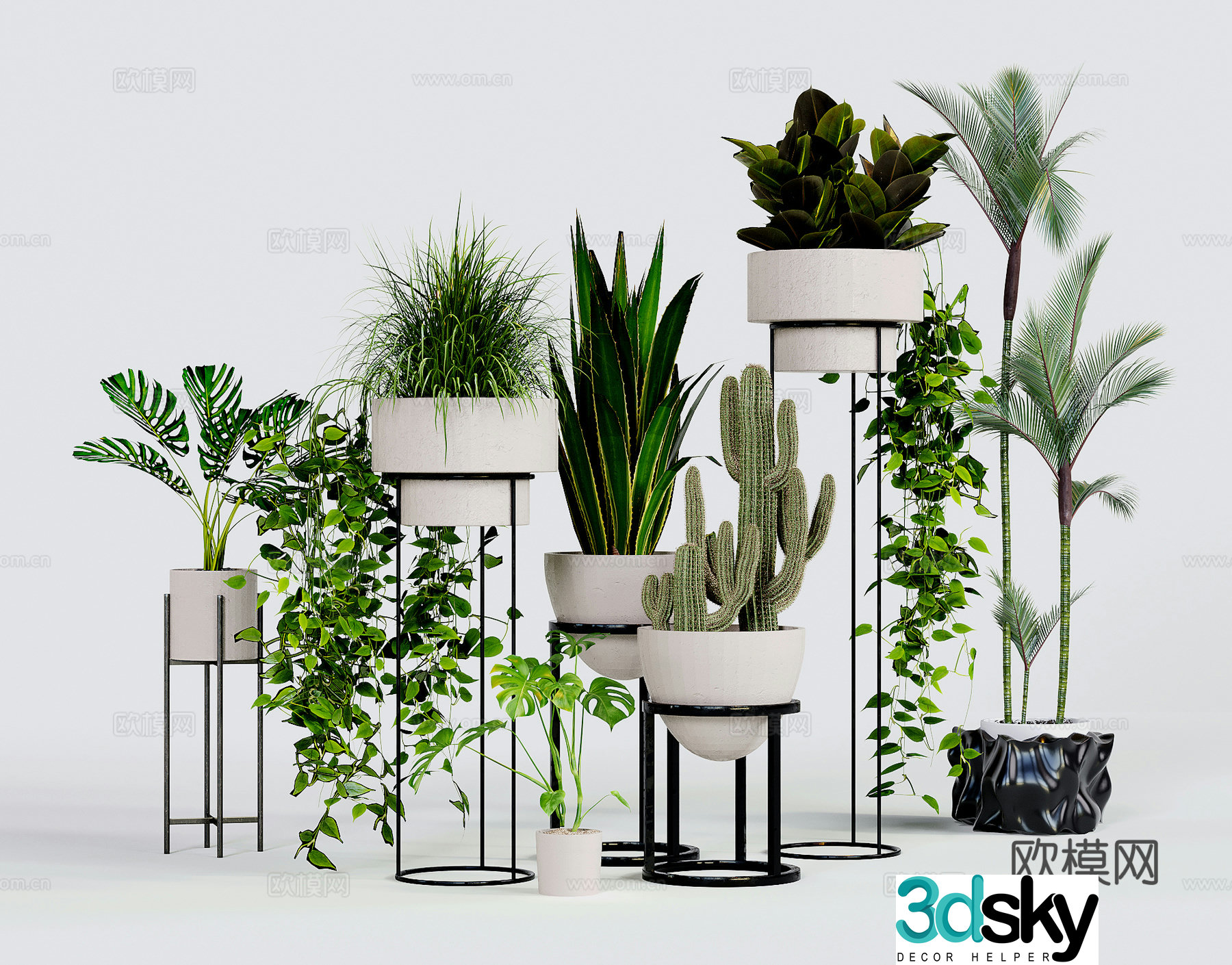 Modern green plant pots potted shelves cactus monstera 3d model