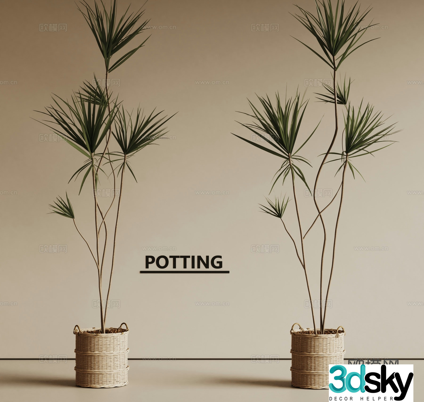 Idea plant pot green plant thousand-year-old wood 3d model