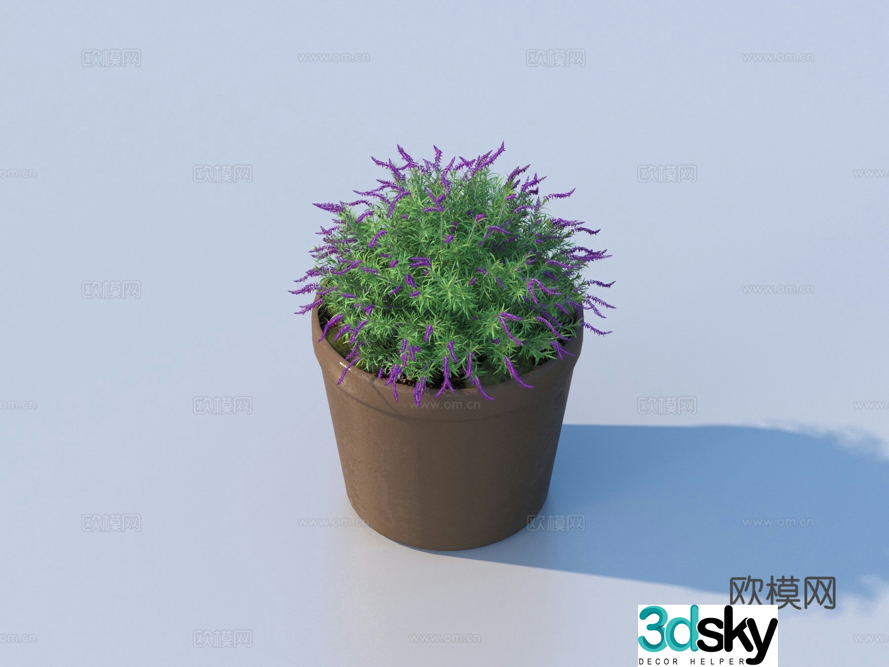 flowerpot potted plant green plant plant 3d model