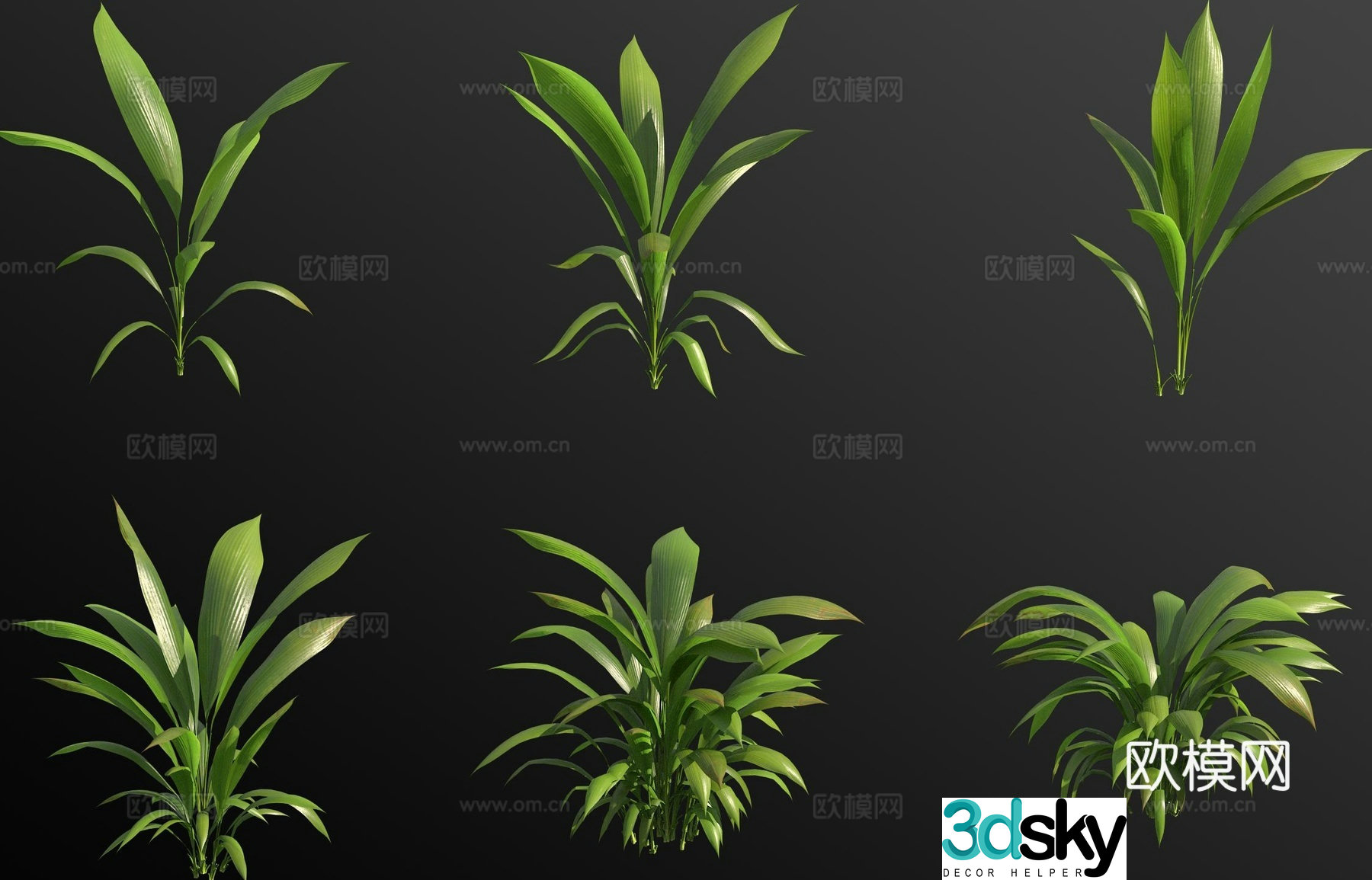Curculigo macrophylla flowers and green plants 3d model