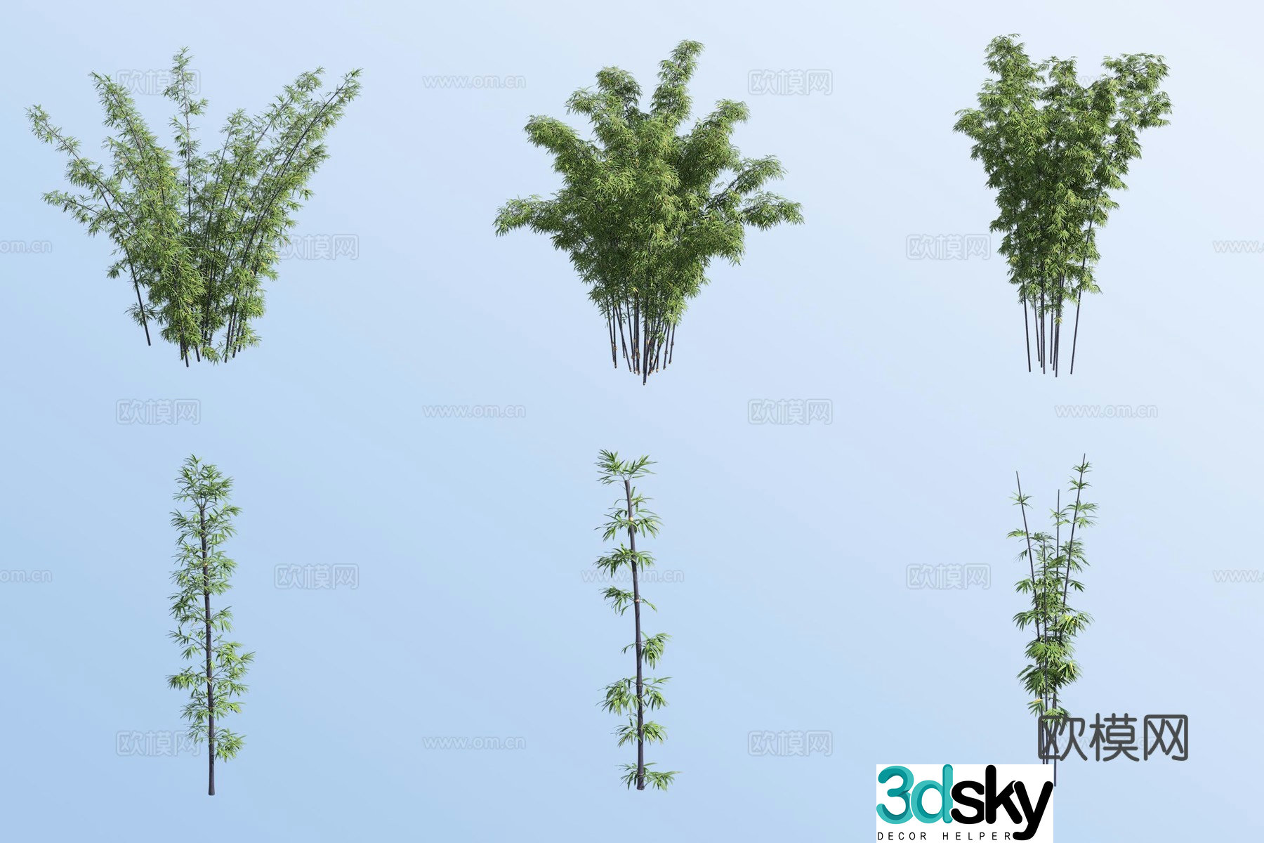 East Timor black bamboo 3d model
