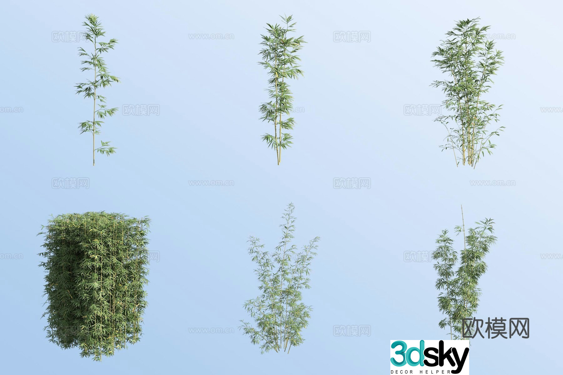 Phoenix tail bamboo 3d model